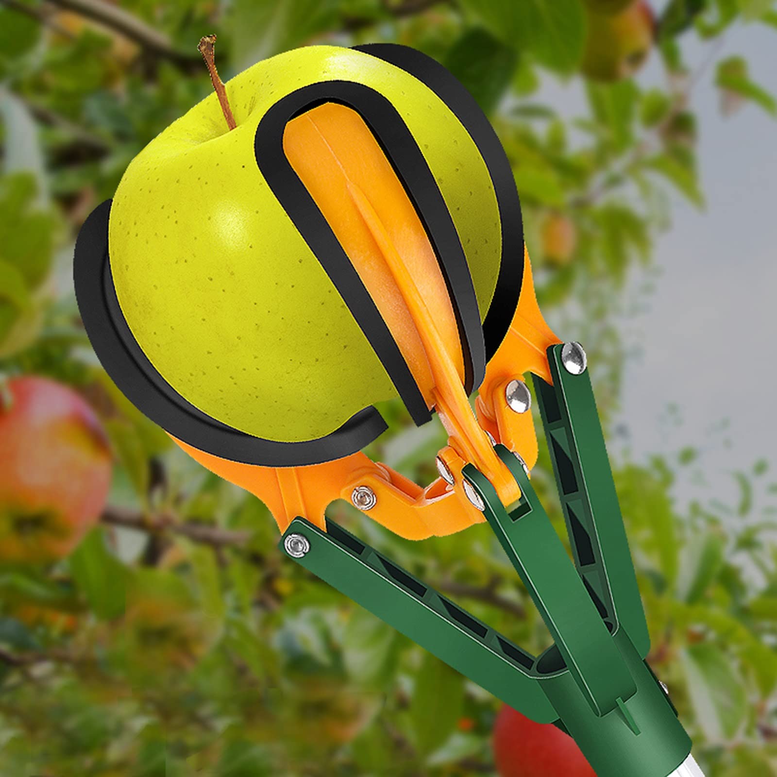 Raccoglitore per frutta con asta retrattile e artigli per una facile raccolta, ideale per mele, pere e frutti ad alta quota, lunghezza 1,5 m / 5ft per una raccolta delicata