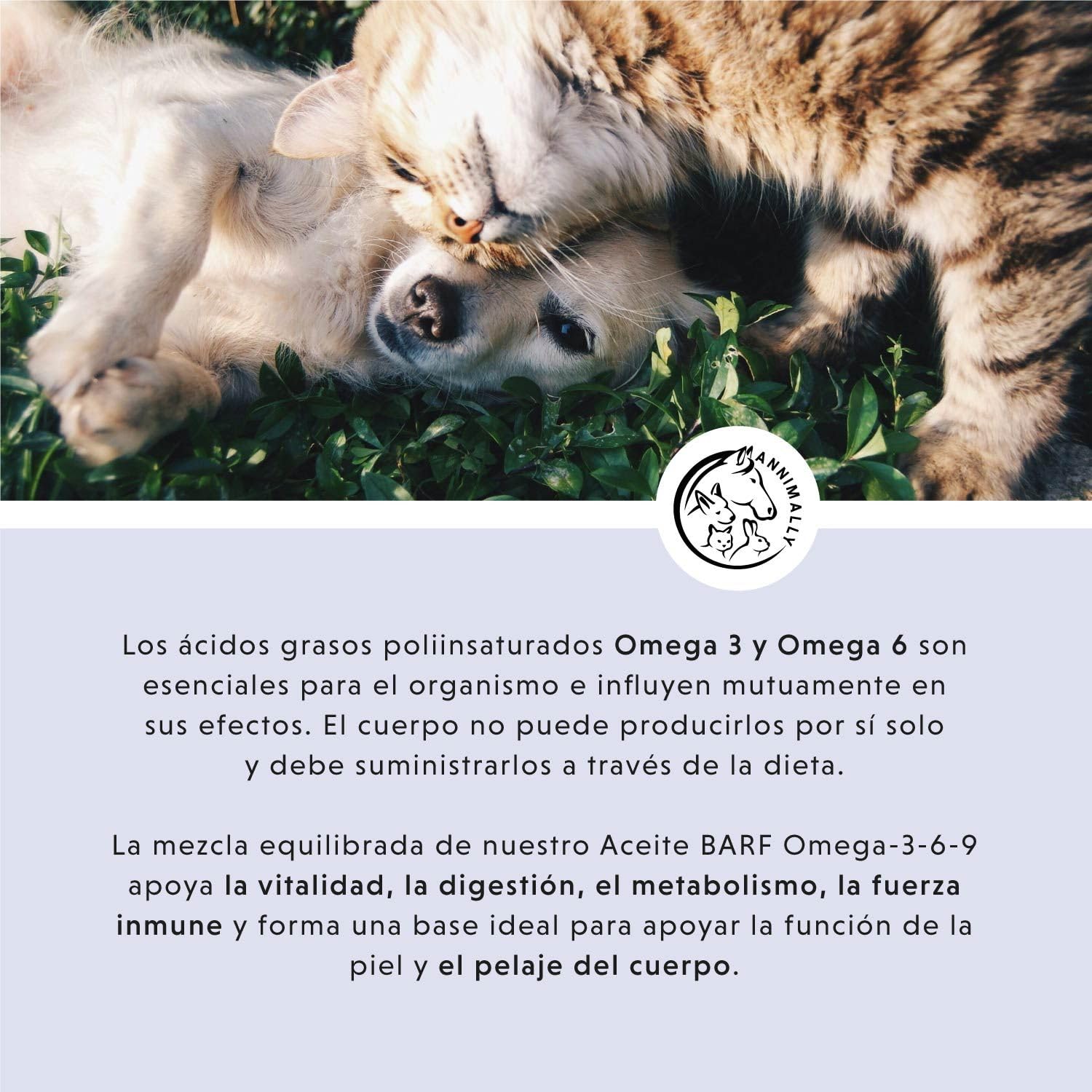 Aceite Barf para Perros 1000 ml - Aceite Barf con Omega 3-6-9 a Base de: Aceite de salmón, Aceite de Colza, Aceite de cáñamo y Aceite de borraja. Aceite alimentario para Perros como complemento