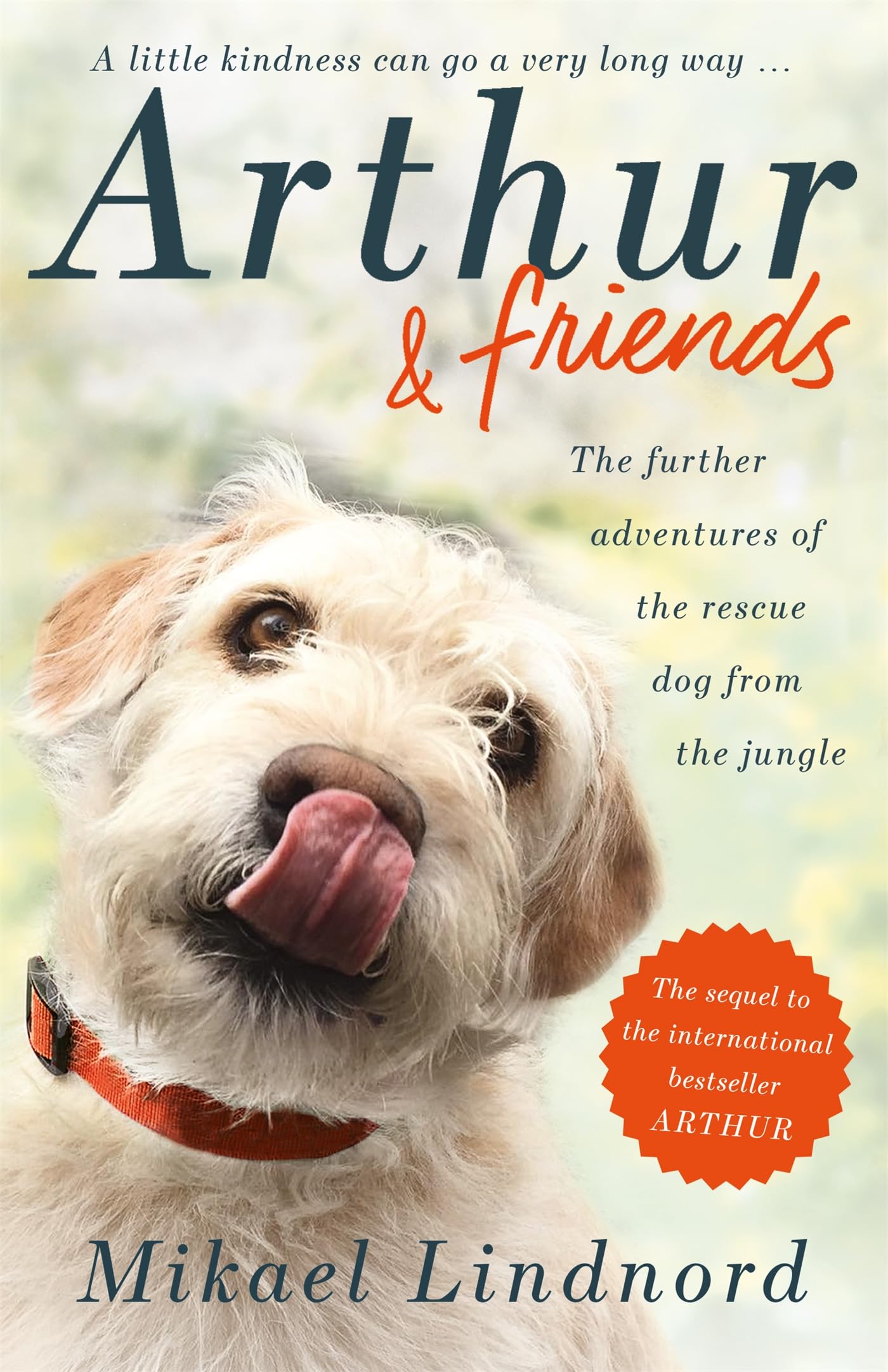 Arthur and Friends by Mikael Lindnord PAPERBACK 9781473661646