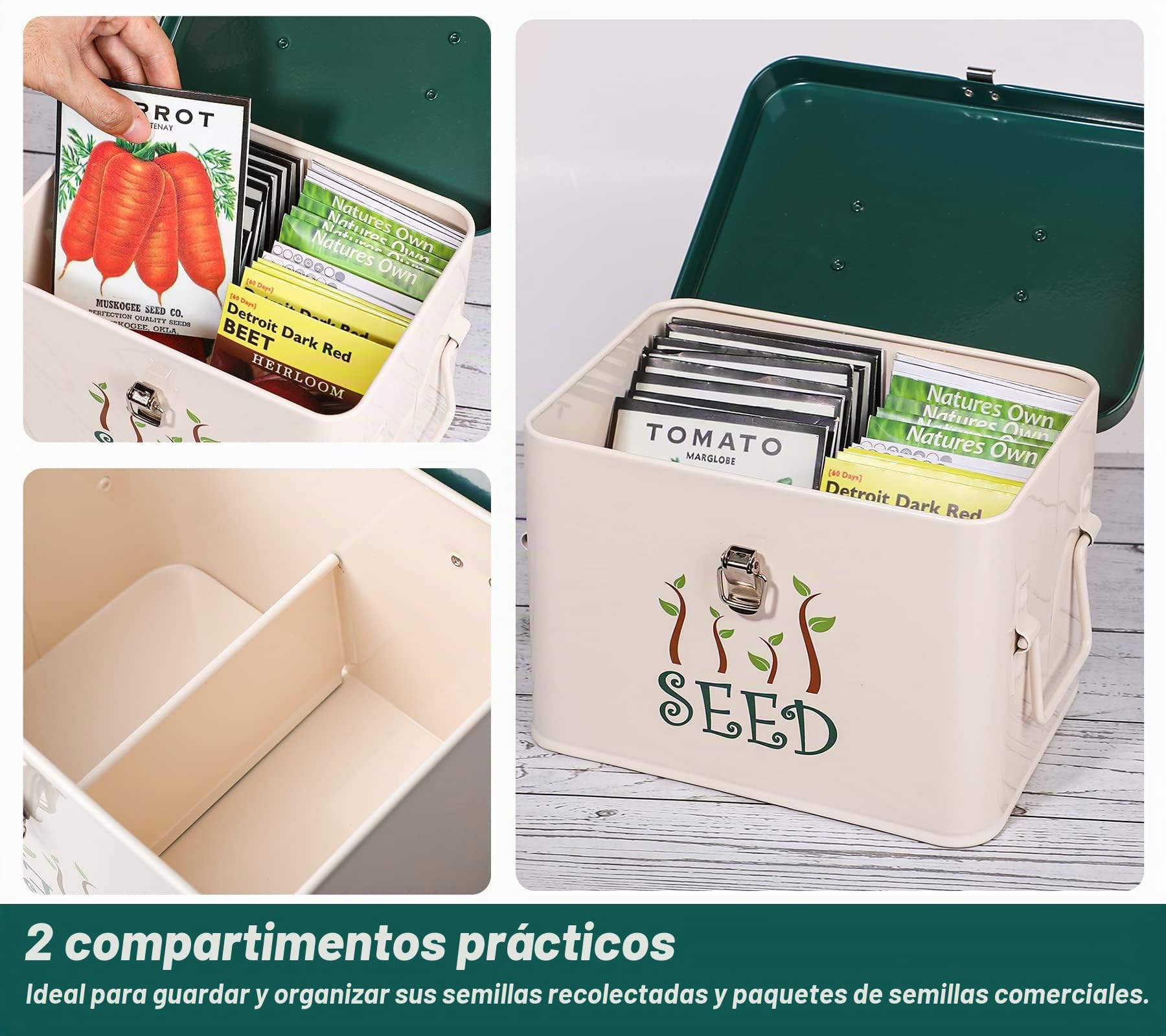 webake Contenedor para semillas con tapa y paredes divisorias, 22,5 x 17 x 15,5 cm