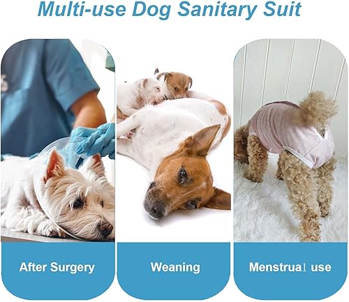 Miniatura 5 de Due Felice Pañales sanitarios para perros, bragas para el período del perrito, mamelucos de recuperación quirúrgica para mascotas, traje después de