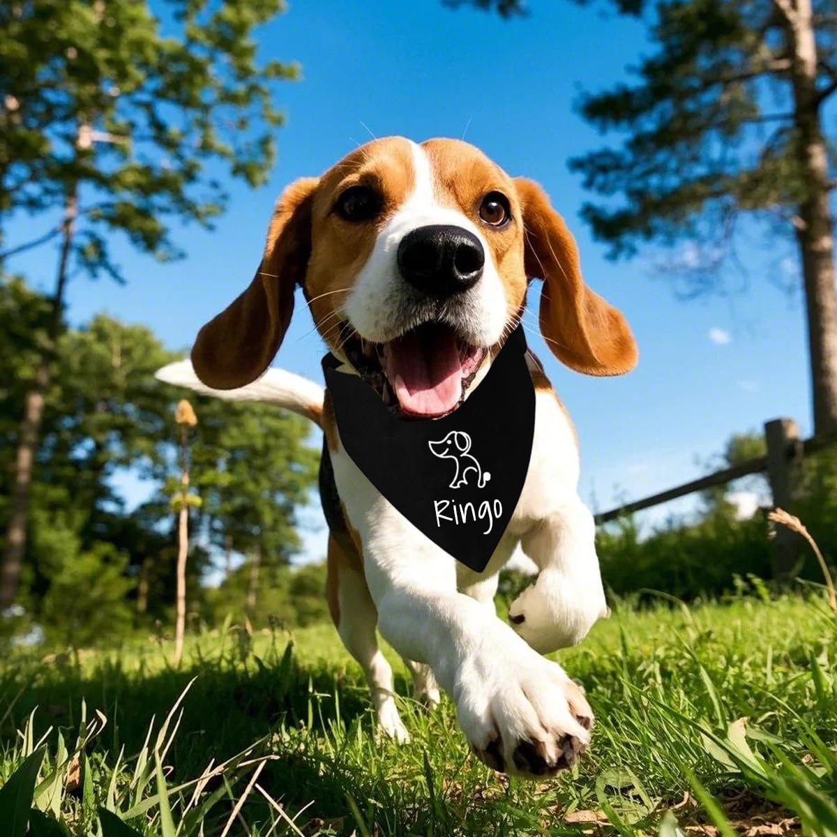 Bandana personalizzata per cani, sciarpa per cani, 4 misure a scelta