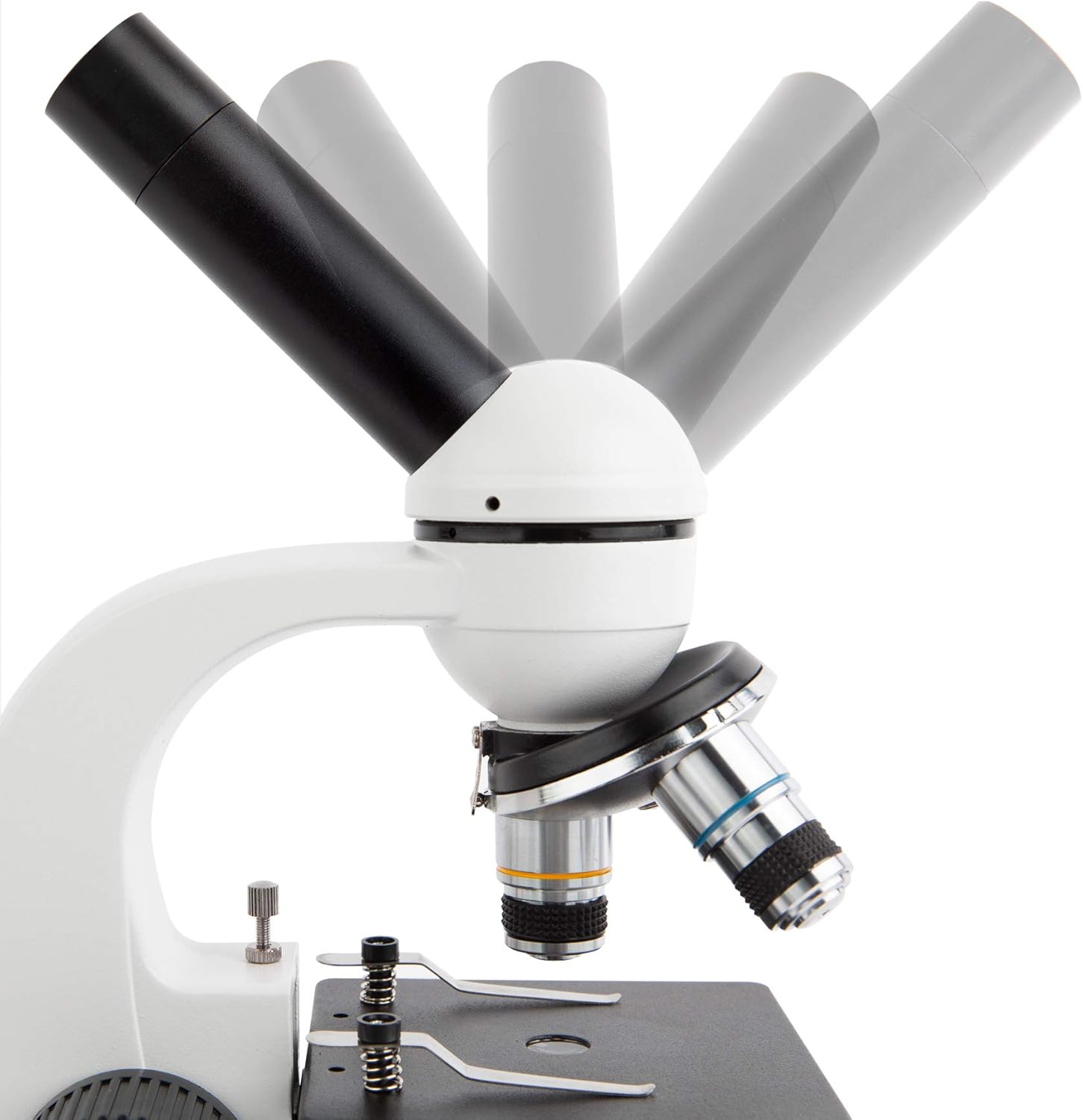 AmScope M158C Cordless Compound Monocular Microscope, WF10x and WF25x Eyepieces, 40x-1000x Magnification, LED Illumination with Rheostat, Brightfield, Single-Lens Condenser, Coaxial Coarse and Fine Focus, Plain Stage, 110V or Battery-Powered