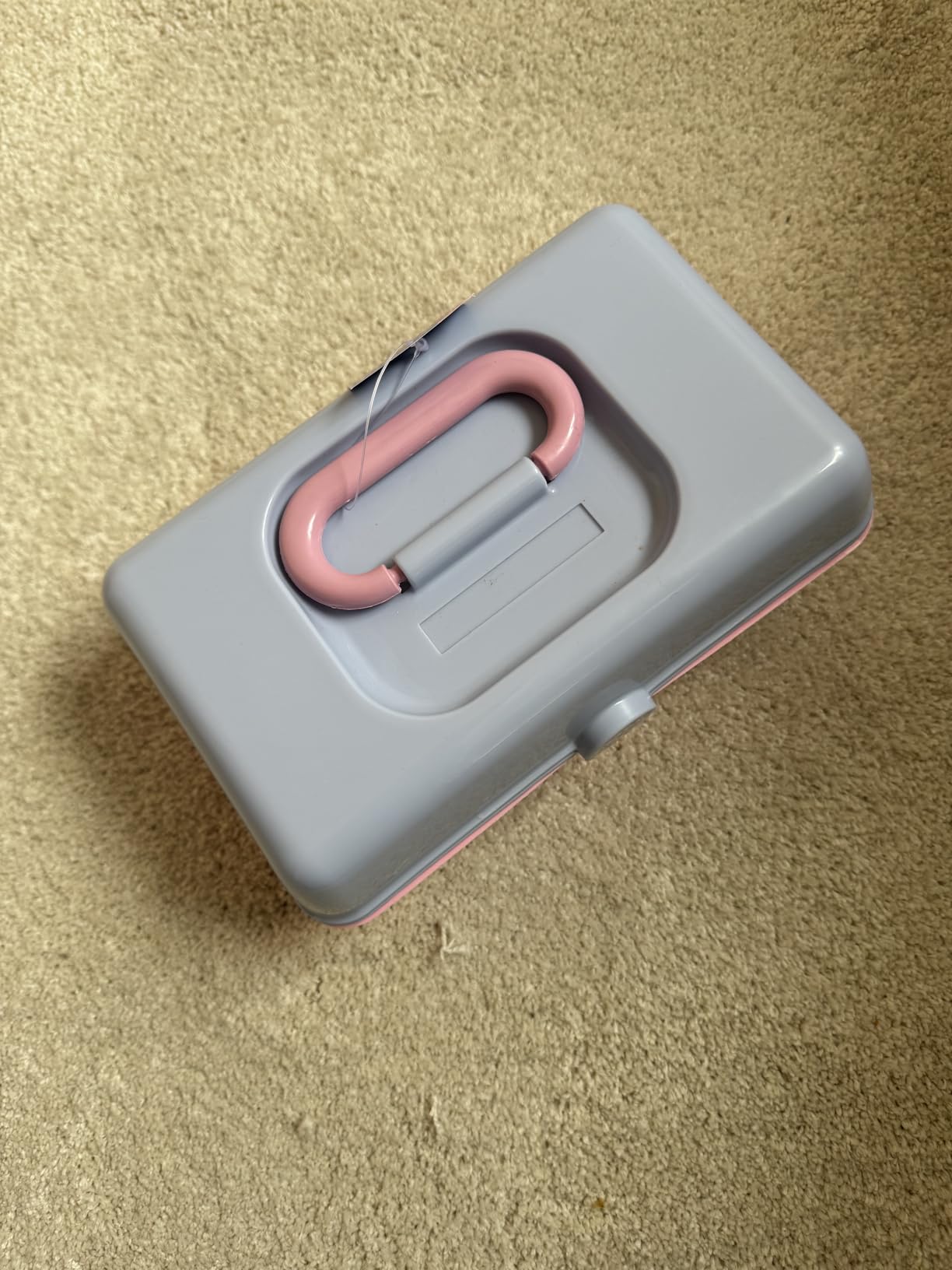 Caboodles Pretty in Petite Makeup Box, Two-Tone Pink on Lavender, Hard Plastic Organizer Box, 2 Swivel Trays, Fashion Mirror, Secure Latch for Safe Travel 1 pound