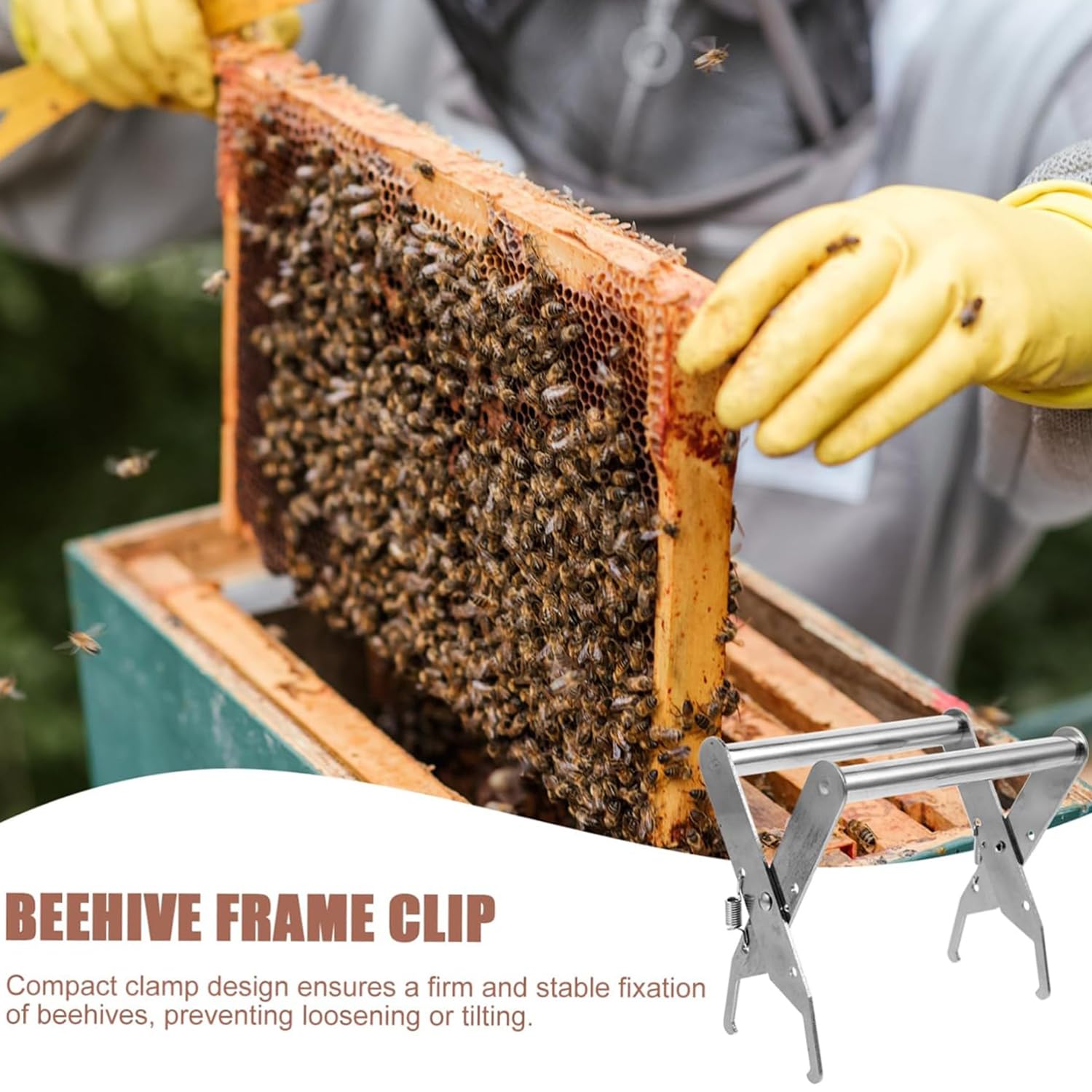 Pince à Attraper Abeilles Métal Antirouille, Outil Apiculture Acier Sans Dommage 1 Piece 97357164