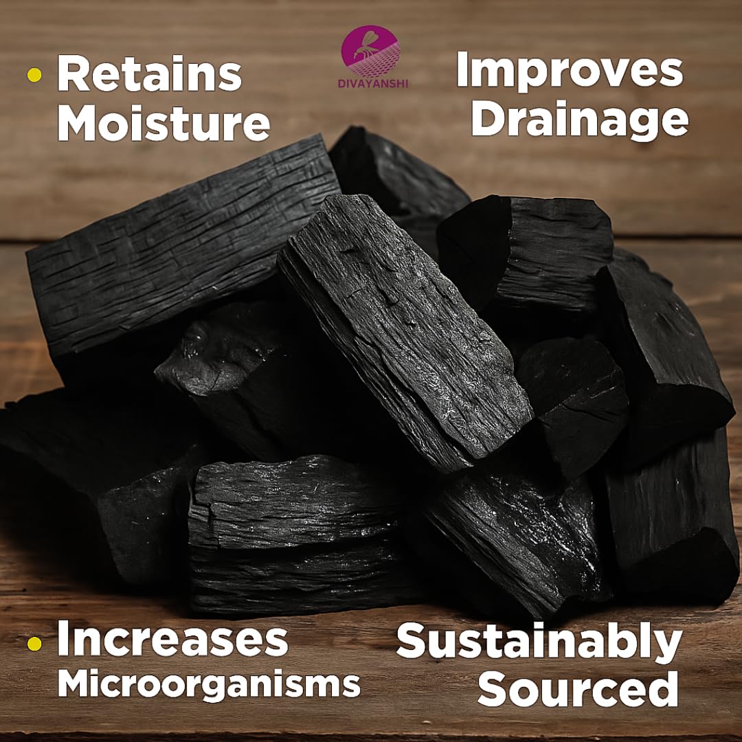 Divayanshi Charcoal Briquettes - Natural BBQ Flavor -4