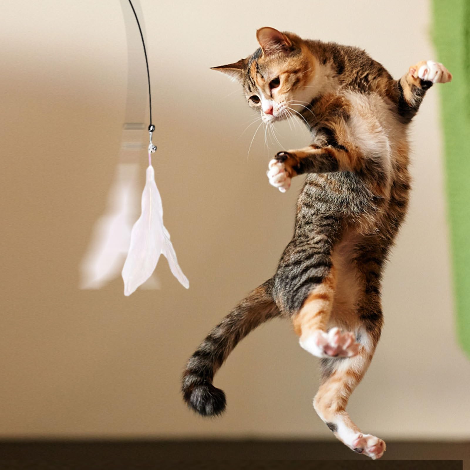 Jouet Pour Chat - Canne à Pêche Avec Ressort Et Ventouse, Plume Amovible - Stimulation Interactive - 11