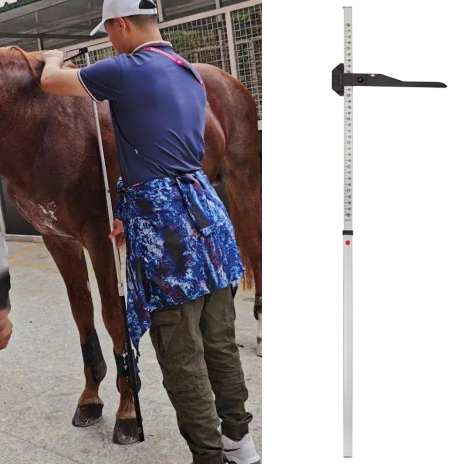 Amagogo Herramienta de medición de Altura de Caballo, medidor de Altura de Acero Inoxidable Resistente, Suministros ecuestres prácticos, Regla para Granja de