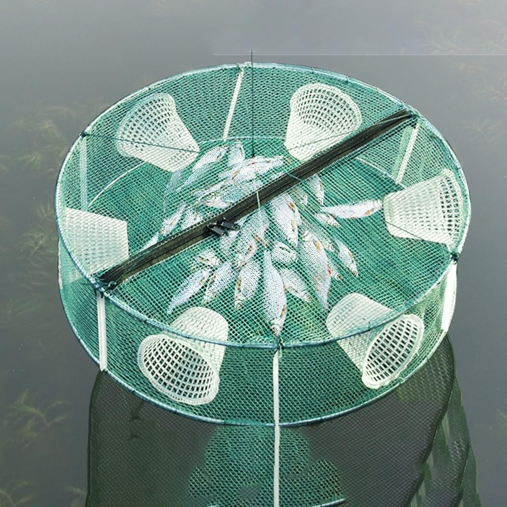 Trappola per pesci pieghevole con ingresso in nylon, gabbia per gamberetti, per pesca d'acqua dolce e salata, portatile, pieghevole, con confezione di accessori, verde (D)