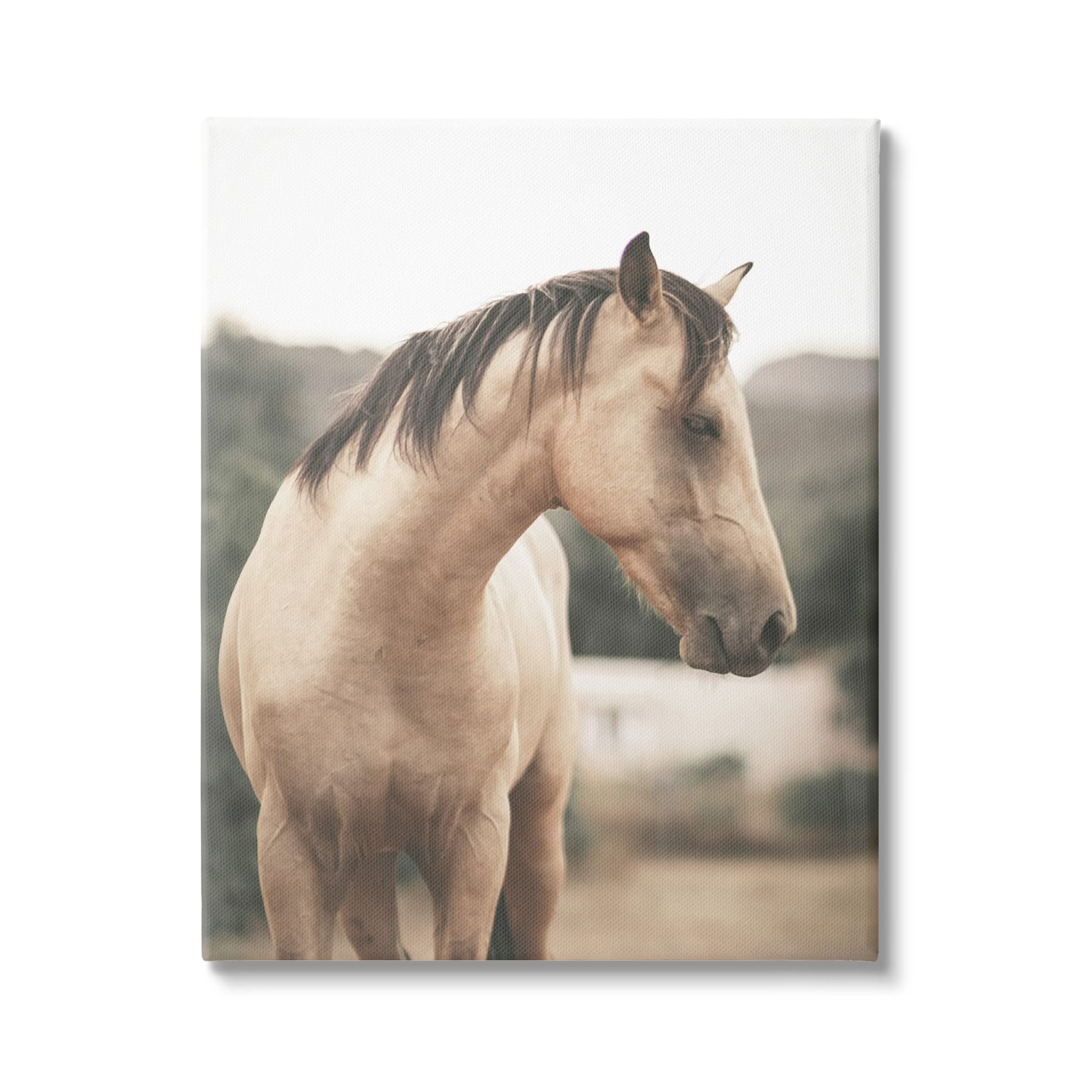 Stupell Industries Serene Countryside Landscape Brown Horse Portrait, Design by Leah Straatsma