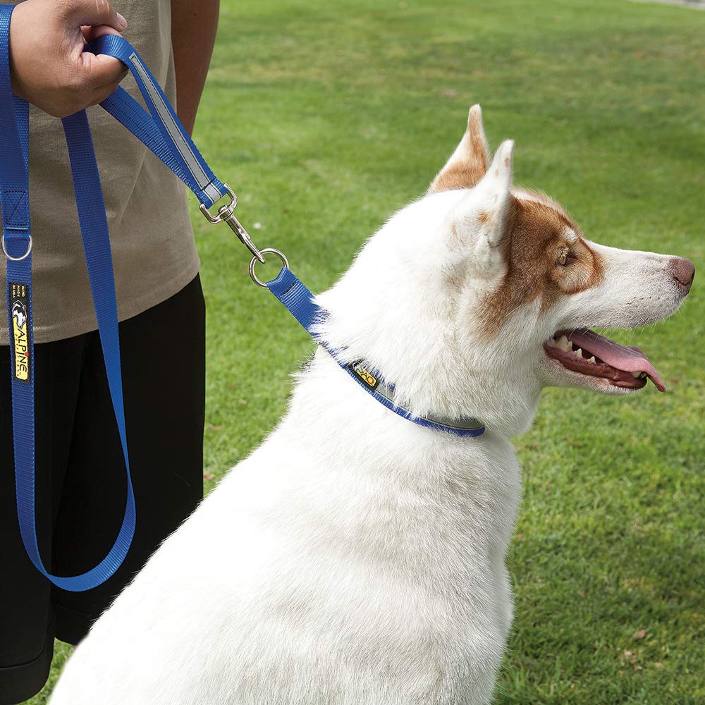 Alpine Outfitters Limited-Slip Collar, 1