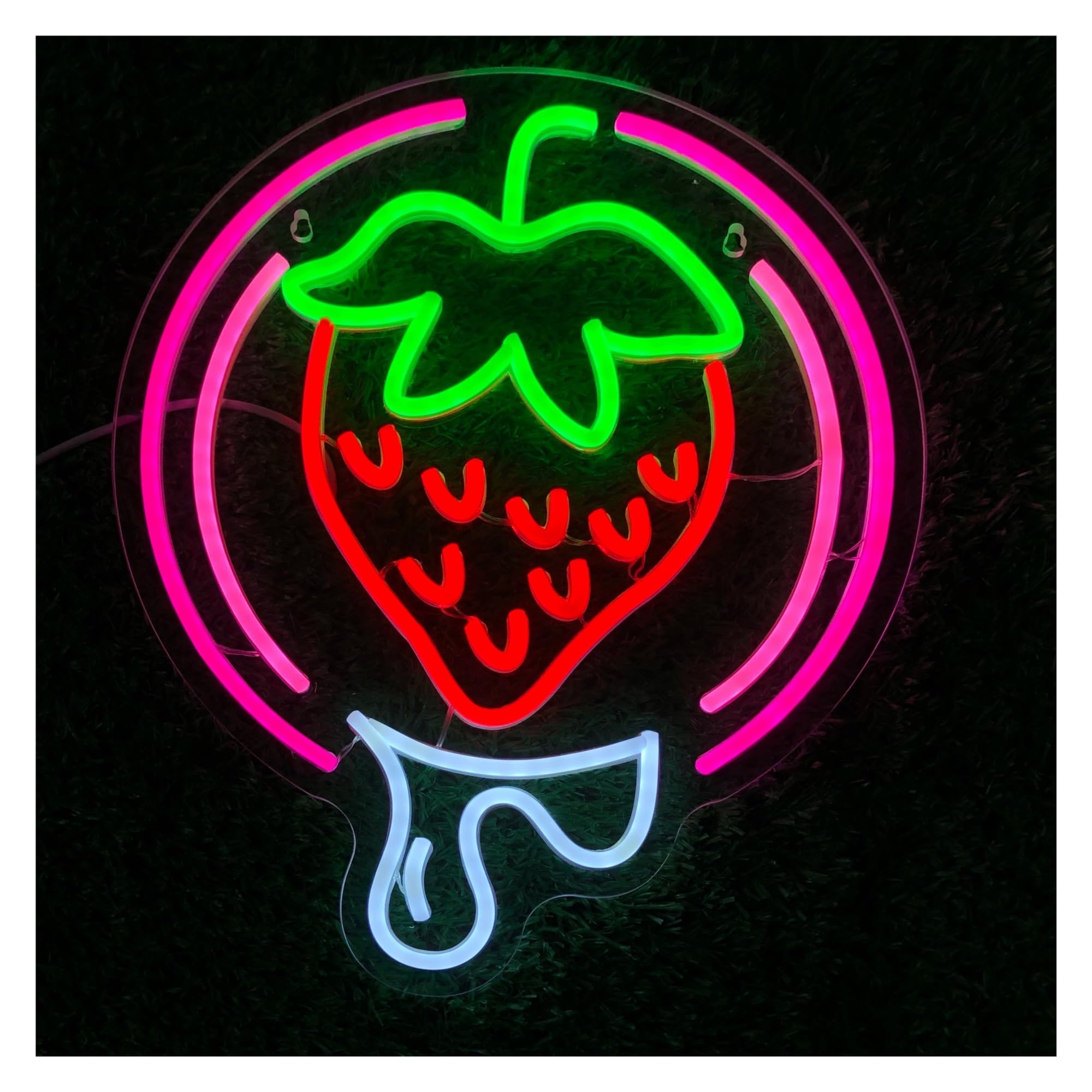 LEMST Signs Lamp Strawberry Neon Sign USB Powered Dimmable Light for Fruit Shop Restaurant Bar Club Home Wall Decor 14.96inx12.2in(C)