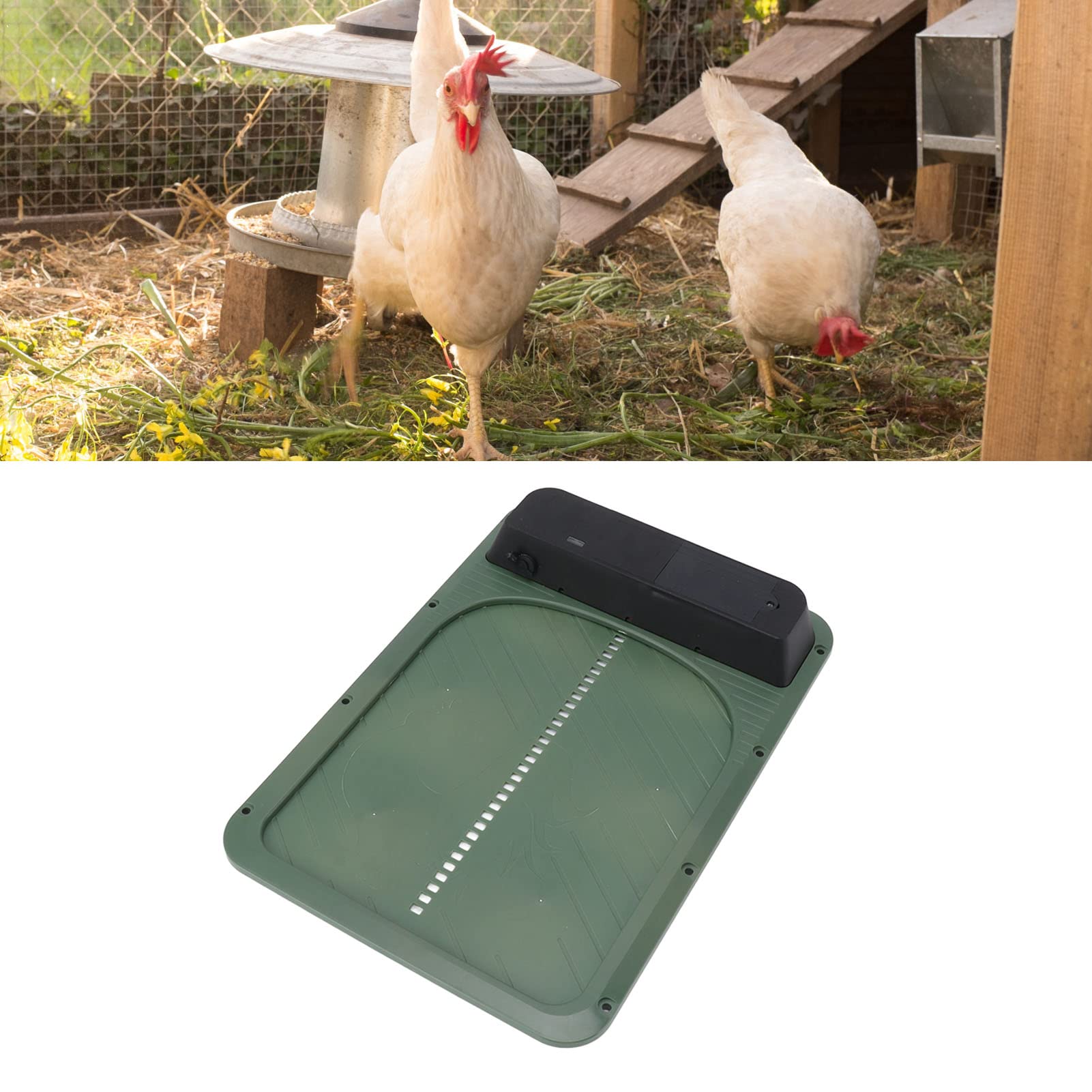 Porta Automatica per Pollaio, Sensore di Luce Porta Solare Intelligente per Galline per Anatra (Verde)