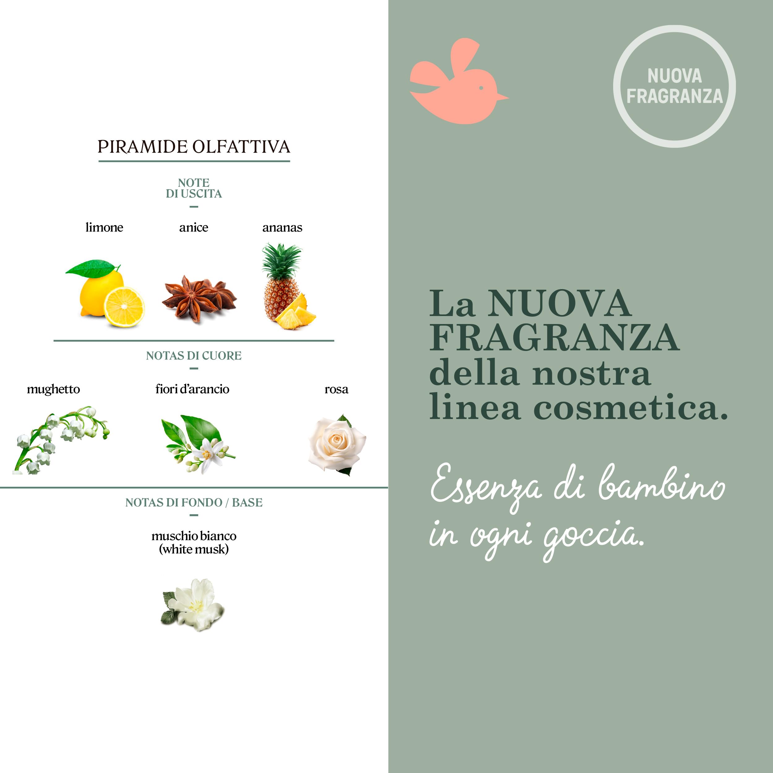 Suavinex, Baby Cologne Bliss, Colonia per Neonati a Basso Contenuto di Alcol, Non Macchia i Vestiti, Fresca, Aroma Delicato e Morbido, con Vaporizzatore, per Neonato e Tutta la Famiglia, 100 ml