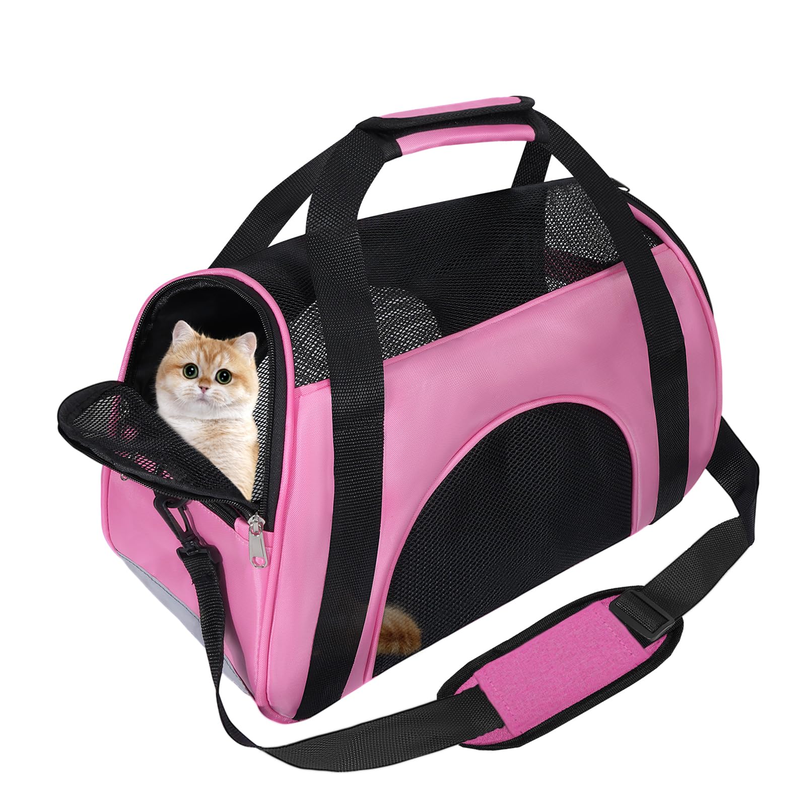 Soft Sided Portable Cat Carrier