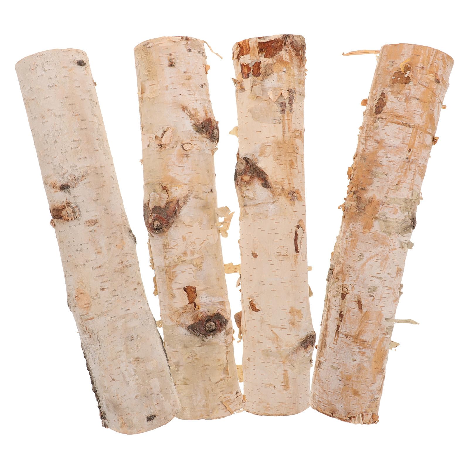 Bûches de bouleau pour artisanat bois brut et branches légères de décoration