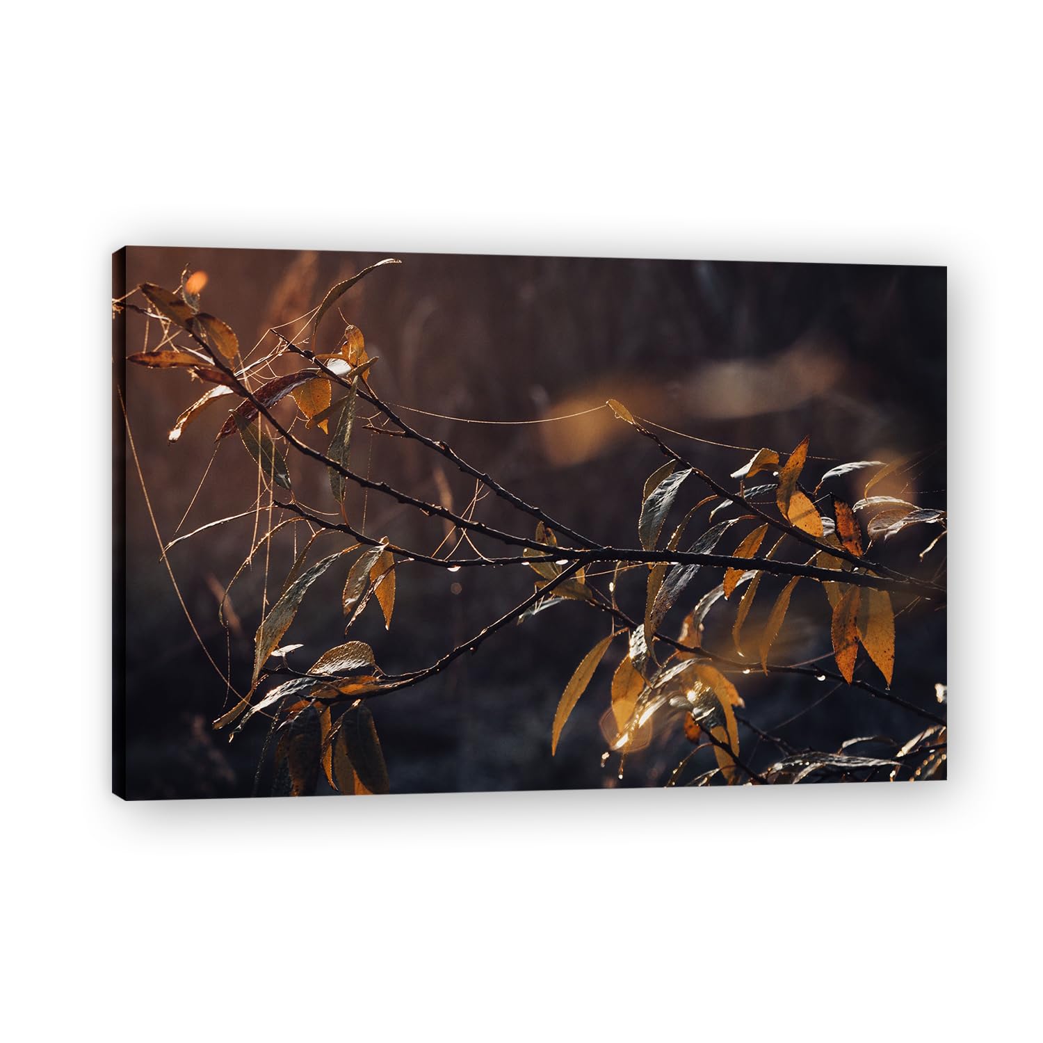 VHdfgTY EntanglementLarge Mountain Landscape Canvas Wall Art Nature Scenery for Home Decor 30x45cm Framed
