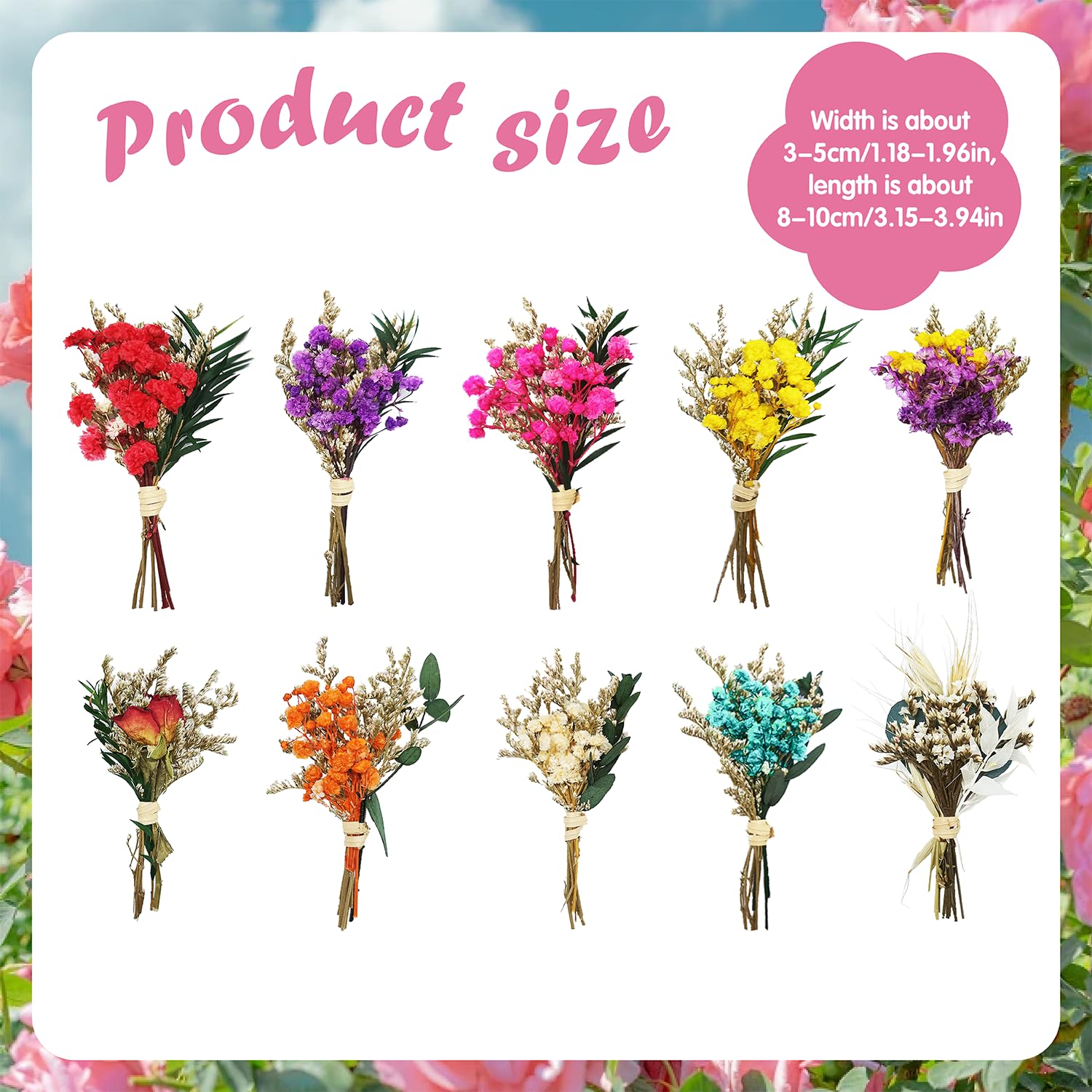 10 mini bouquet di fiori secchi, fiori secchi naturali, mini bouquet di fiori secchi, fiori secchi per artigianato, set per fai da te, decorazione per biglietti e casa