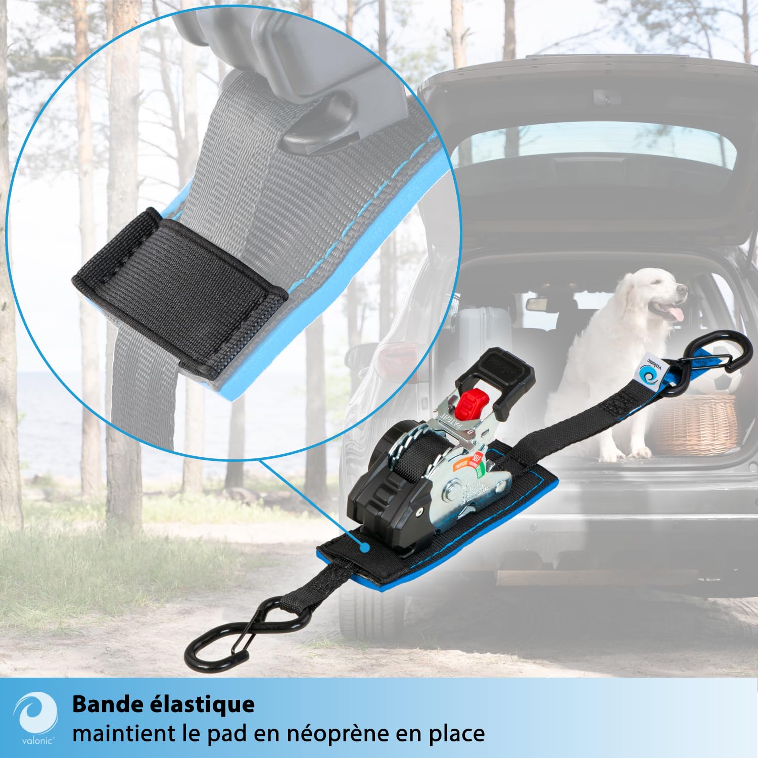 valonic Fox 2 m, Mini Sangle a cliquet, pour arrimer en remorque, Lot de 2, 150 kg Force d’arrimage, 19 mm, cliquet caoutchouté