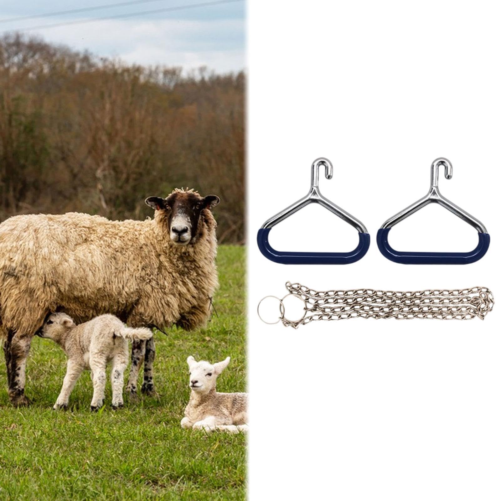 perfk Appareil d'obturation pour Vaches, Accessoire de poignée d'obturation pour Ferme laitière, Outil vétérinaire Robuste pour porcs, Outil d'assistance, 2 Poignées OB 1 Chaîne