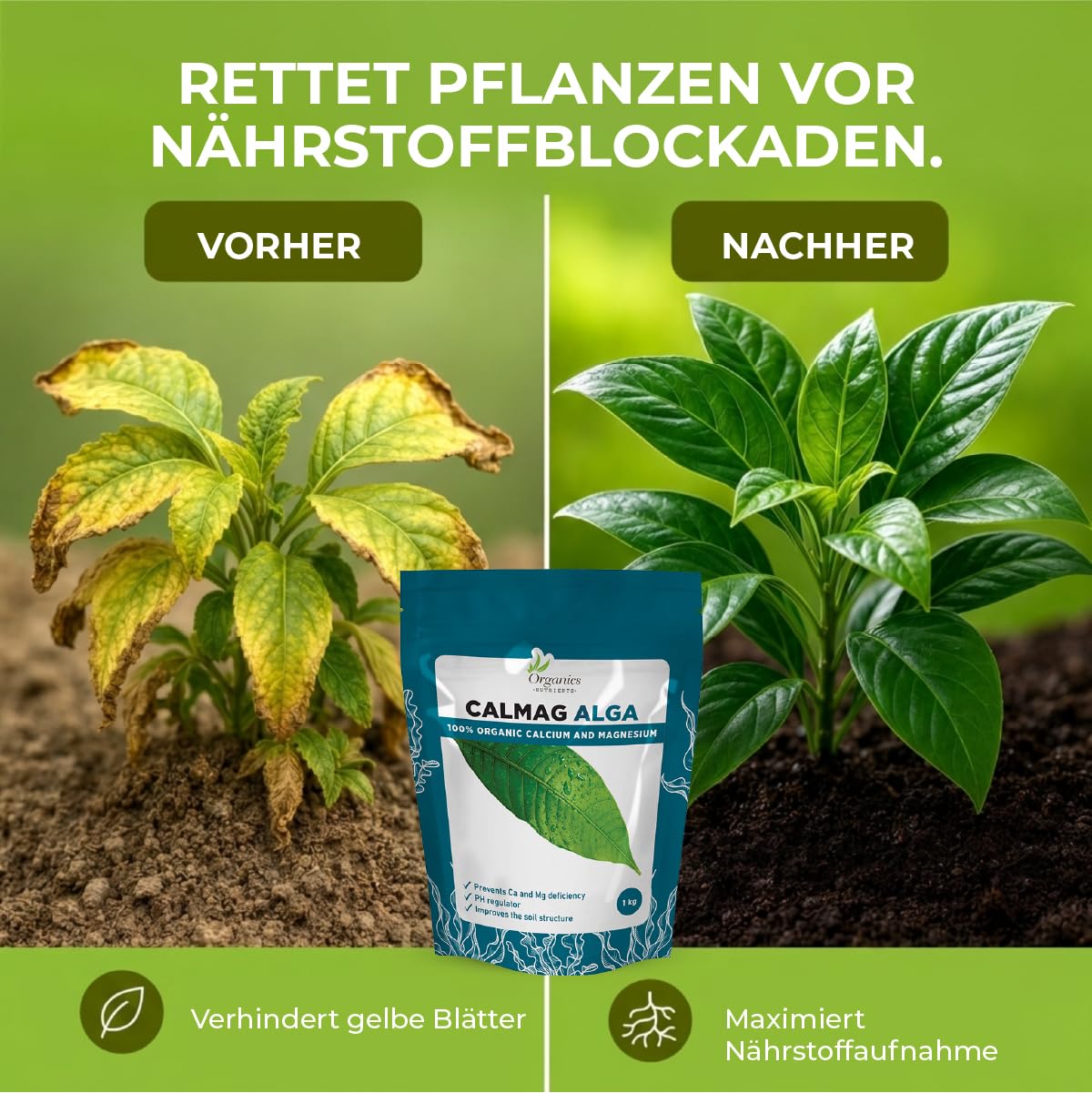 CalMag alga – Natürlicher Bodenverbesserer mit Kalzium und Magnesium, reguliert pH-Wert, stärkt Pflanzen und erhöht Erträge, geeignet für Bio-Landbau