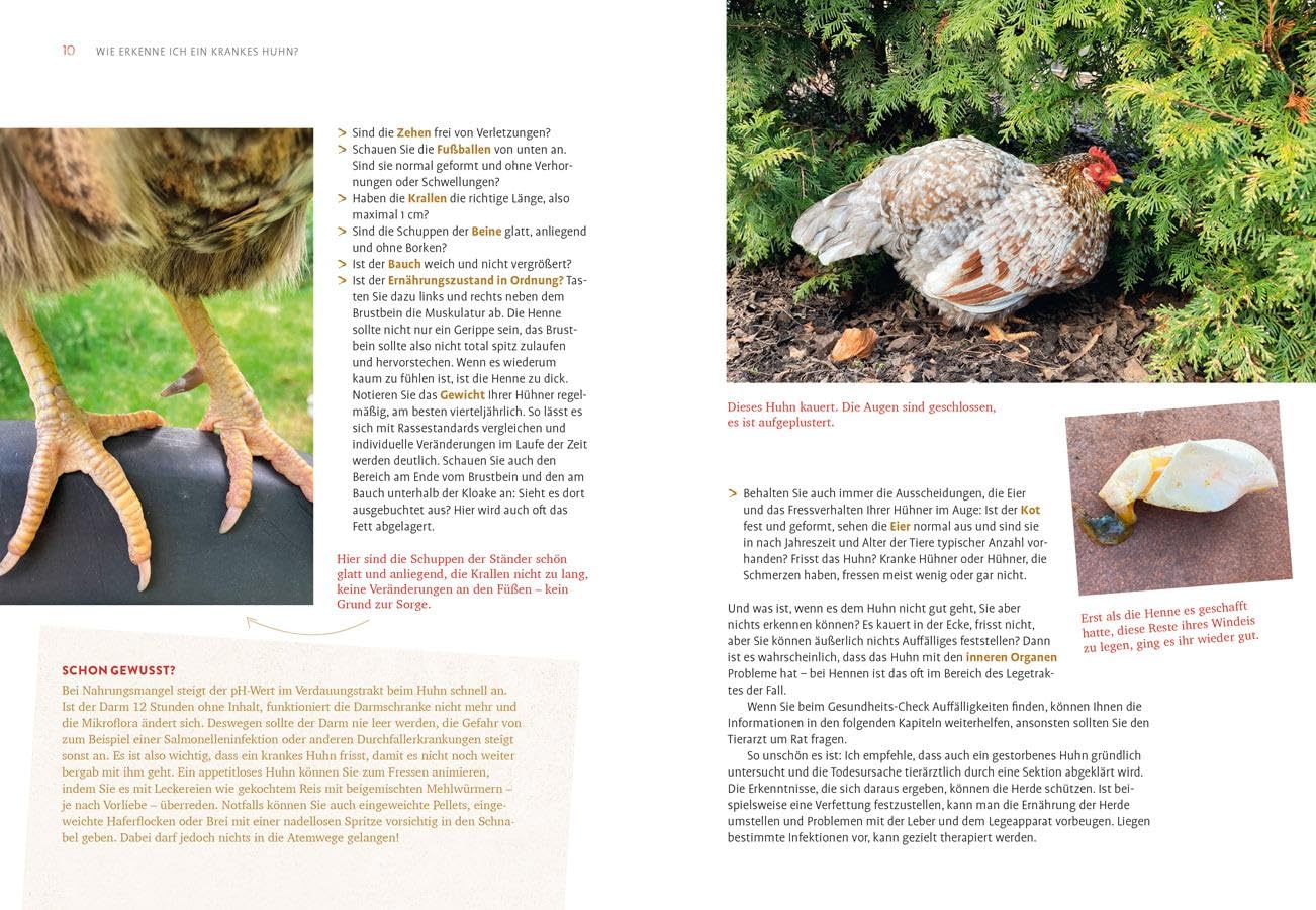 Hilfe, mein Huhn niest!: Häufige Krankheiten bei Hühnern erkennen & behandeln. Mit Ei-Diagnose. Krankes Huhn - was tun?