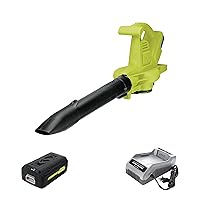 Algopix Similar Product 19 - Sun Joe IONBVXR 40V VariableSpeed