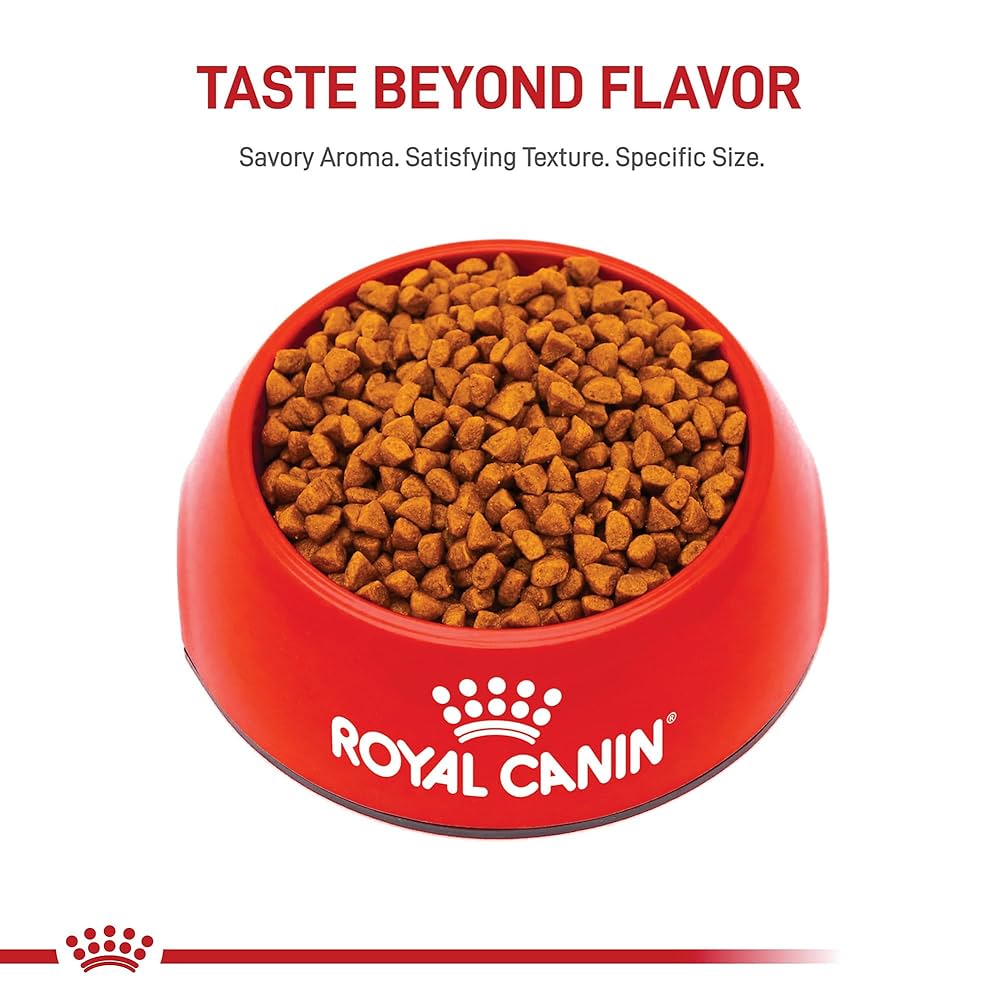 What Type of Dog Food Do I Feed My Puppy: Ultimate Guide