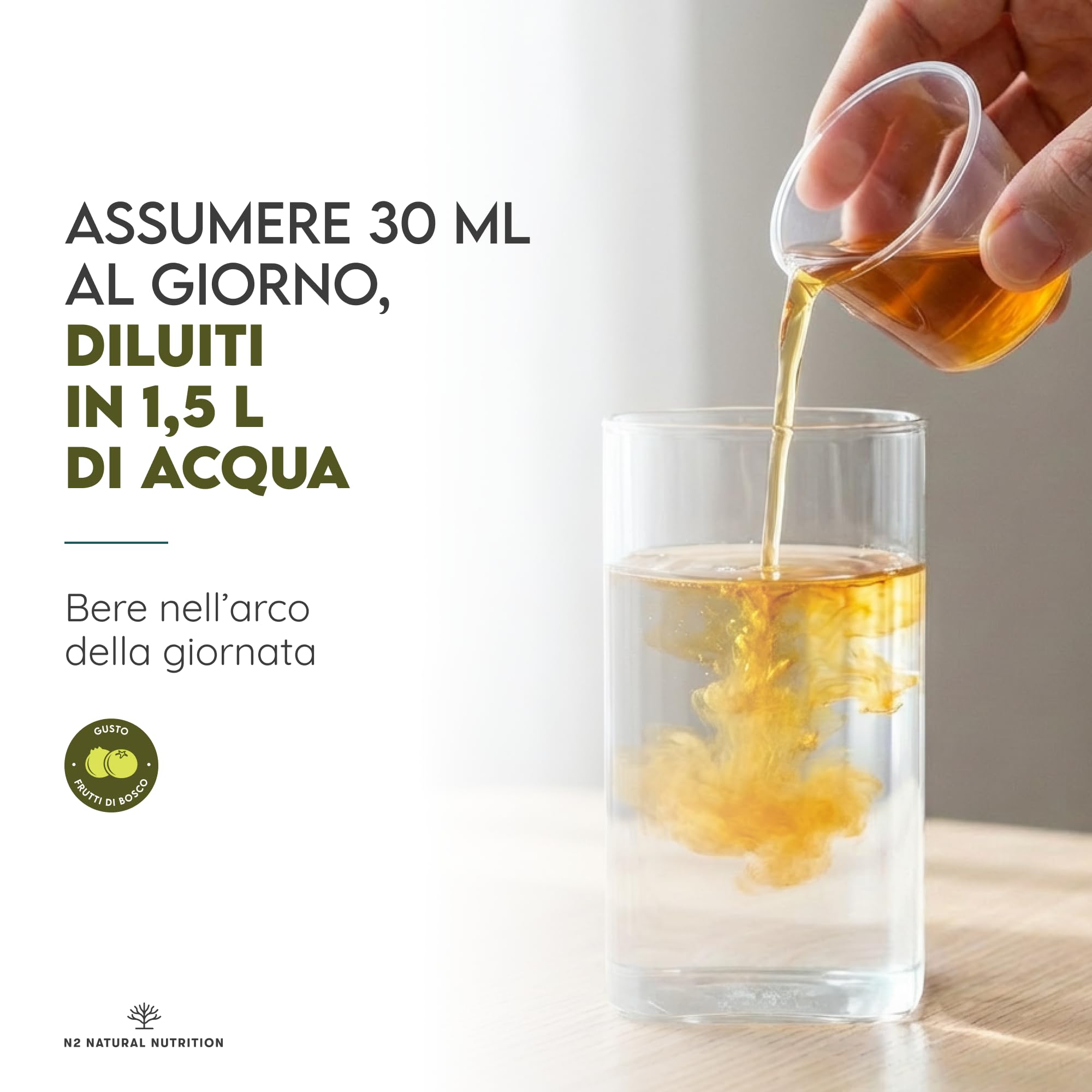 N2 Natural Nutrition. DETOX, Formula liquida Tè Verde, Tarassaco, Guaranà, Papaya, 500 ml. Con Tè di Giava, Mate, Ribes Nero, Rabarbaro. VEGANO. CE.