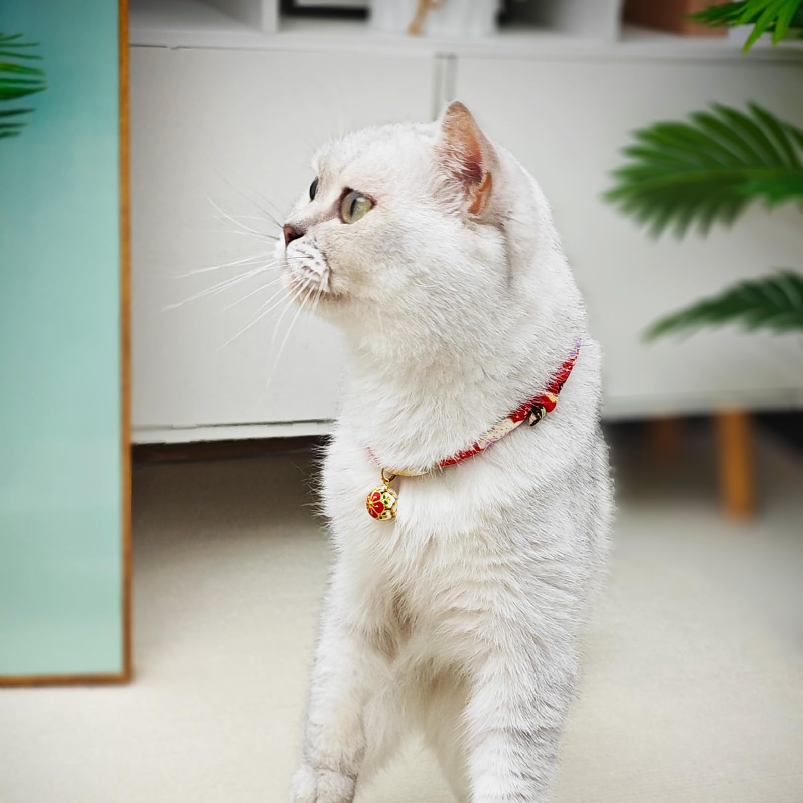 Go to store page for "Plum Collars". - image 3