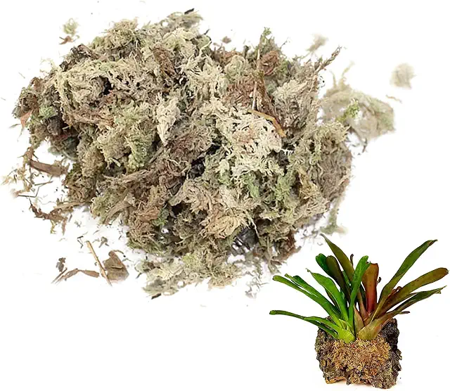 Sphagnum Moss for Reptiles | Sphagnum Moss Dried Spagnum Dry Moss for Reptiles Bedding and Terrarium Pet Supplies 150g