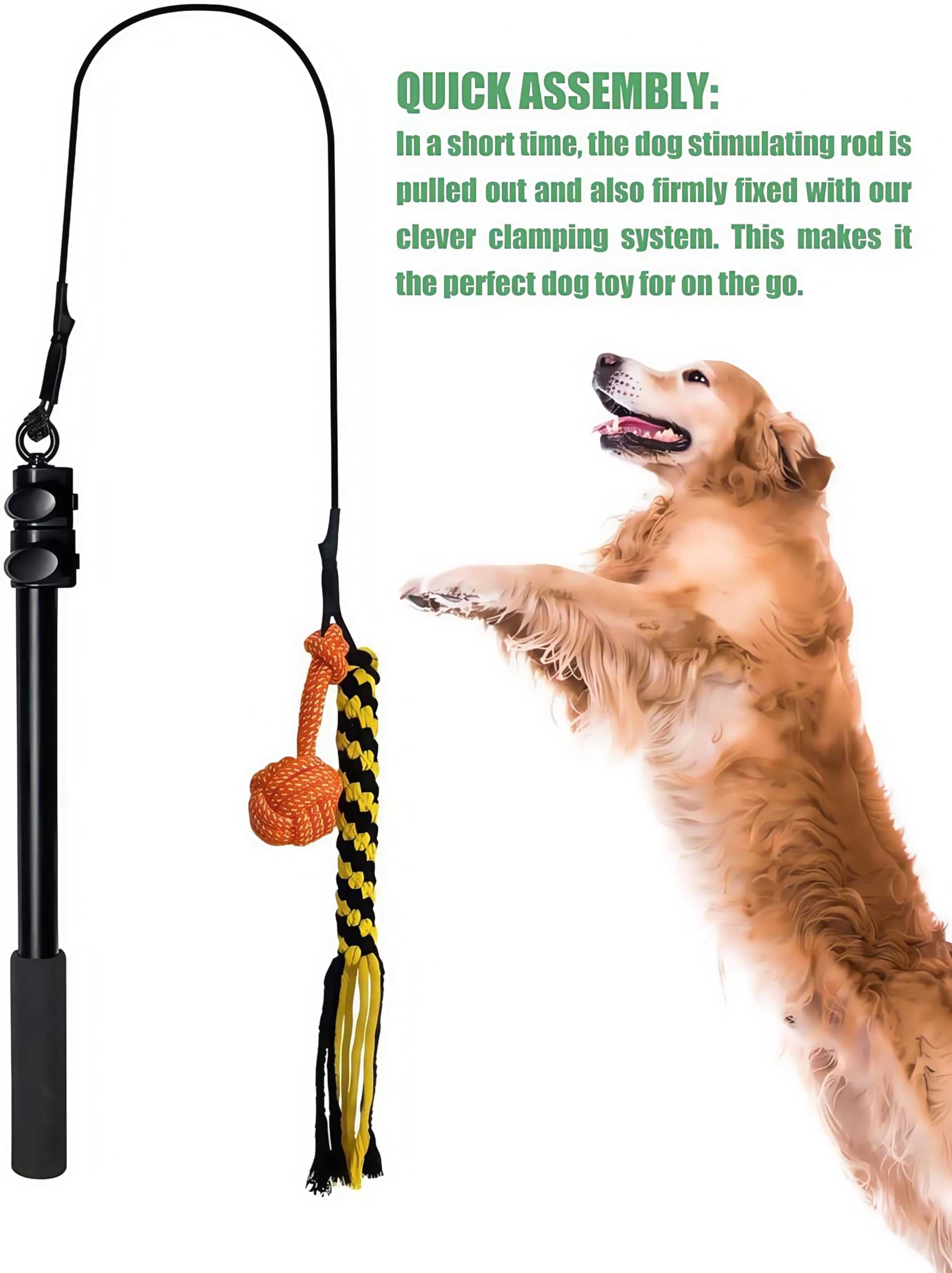 Irritante para Perros,para Entrenar y exponer Perro Teaser Varita, Perro Extensible Teaser,Entrenamiento de Mascotas Juguetes interactivos,Perro Flirt Pole,Entrenamiento de Mascotas Juguetes