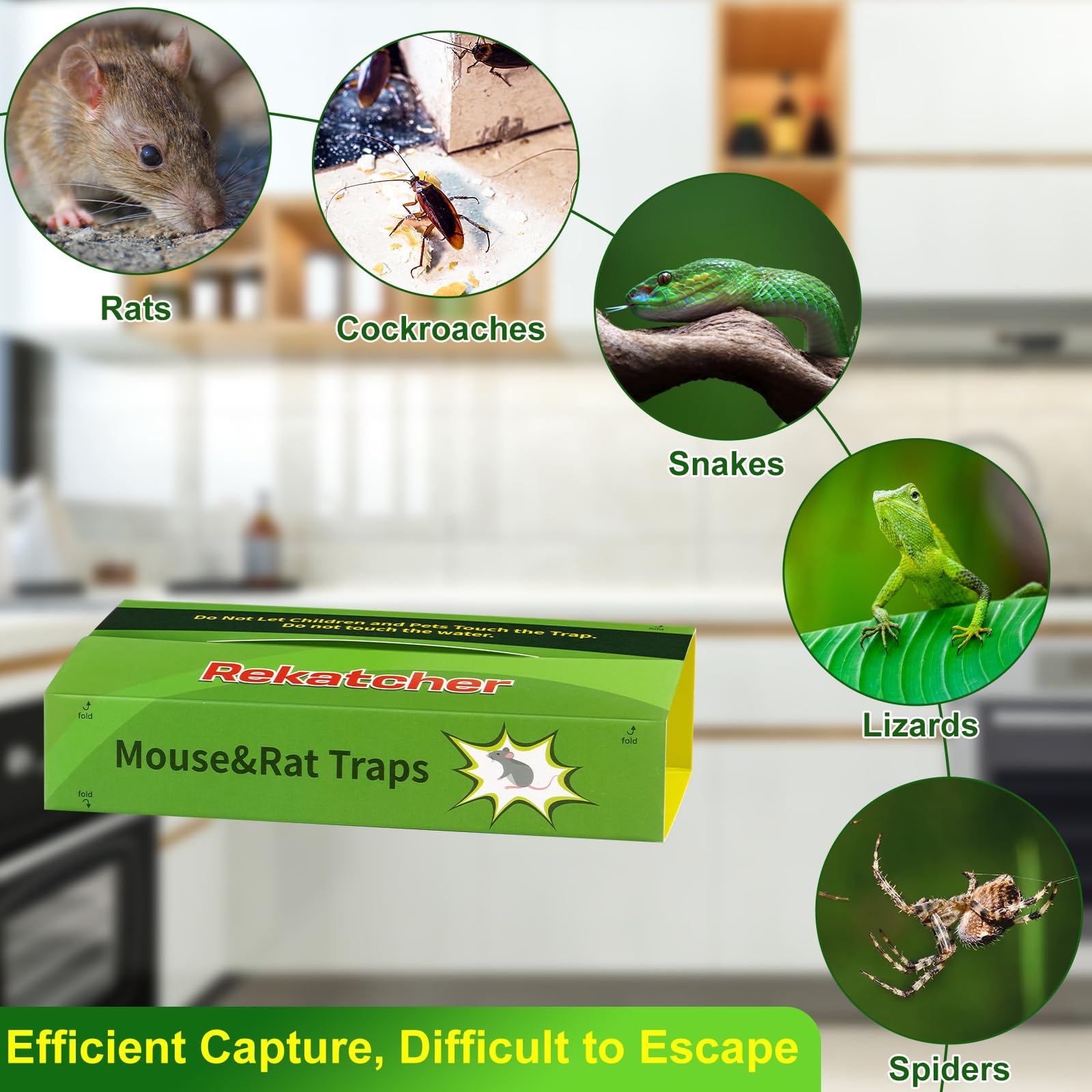 Colle Souris Piege 6 Pièces Piege A Souris Colle Collant Pièges à Souris Attrape Anti Plaque Souris Collante