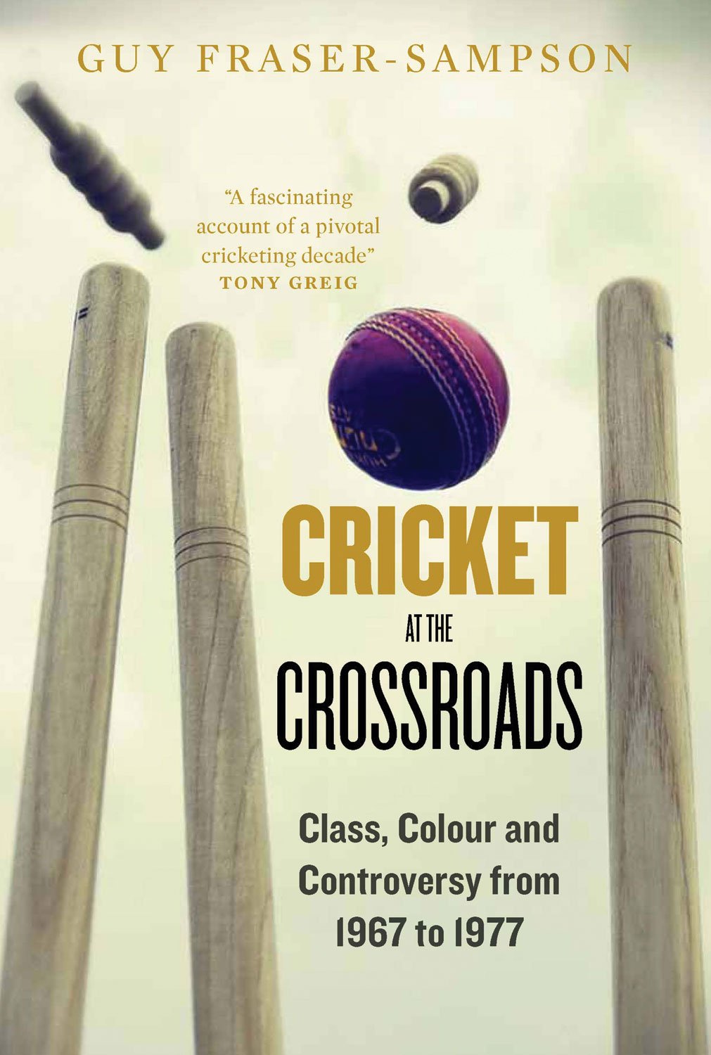 Buy Cricket at the Crossroads — BookShops.in