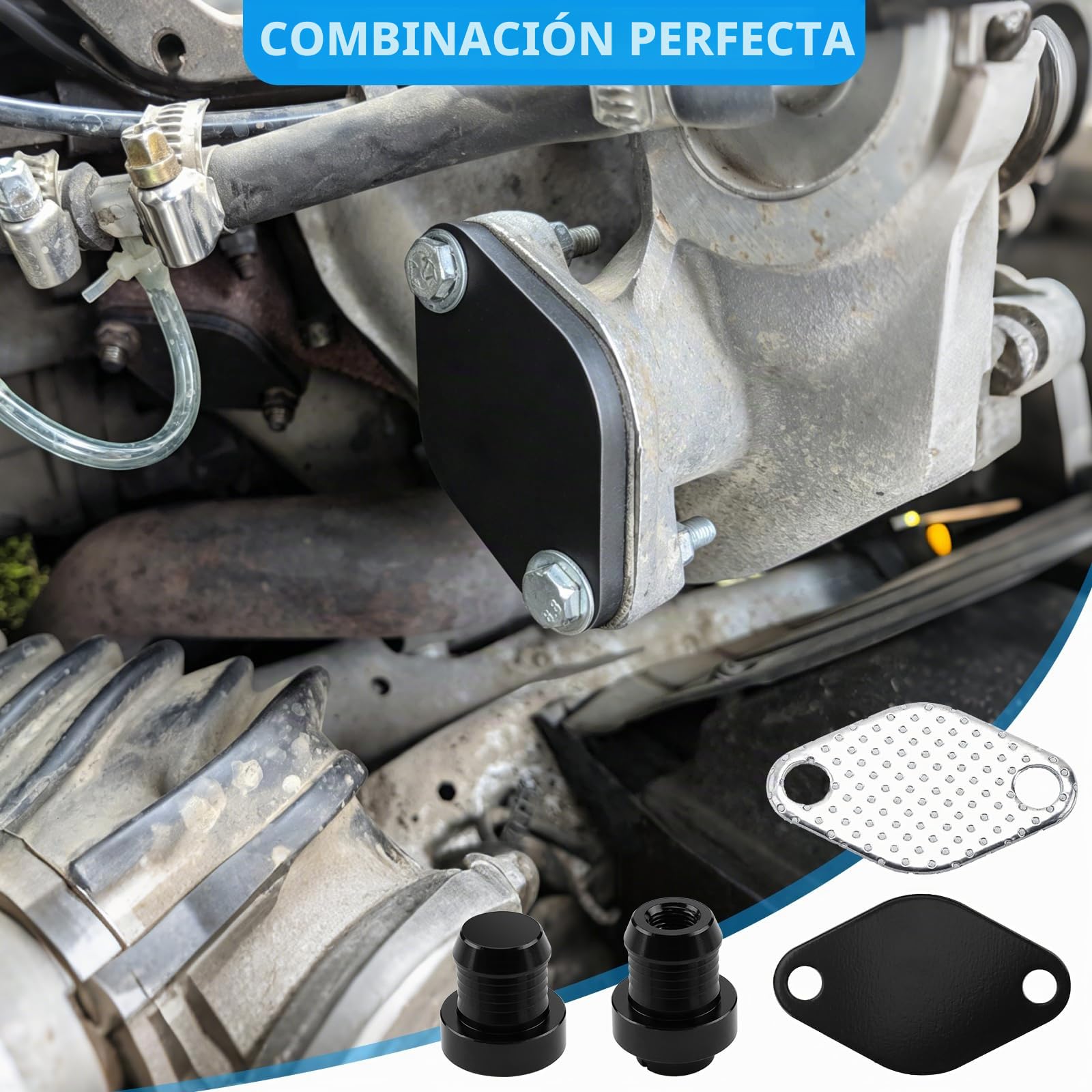 KAOLALI Kit de extracción de válvula EGR compatible con 3 E46, 5 E60, E61, 7 E65, kit de extracción de válvula EGR para X3 E80, X5 E53 con motores 3.0 M57N, 1171778999, 1117804379