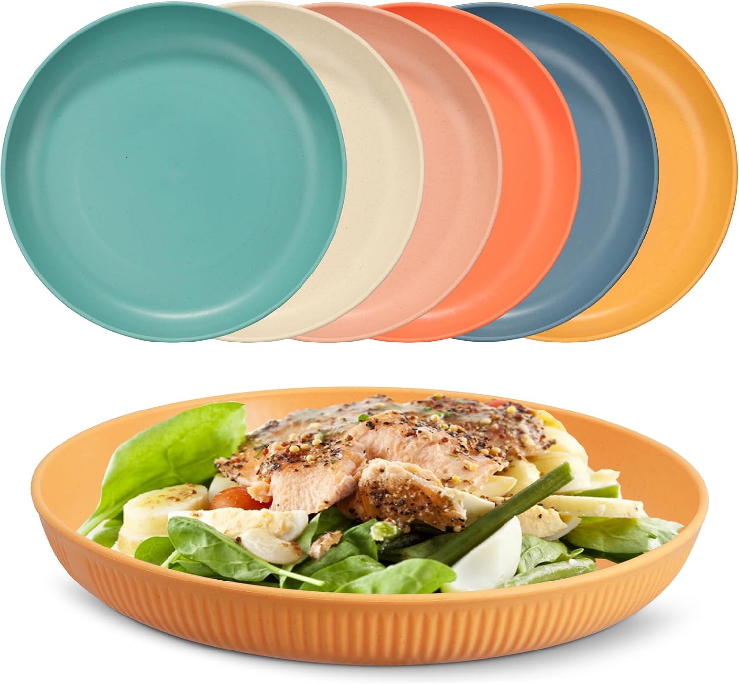 Chuboir Unbreakable Dinner Plates Set, Set of 6 Plastic Plates, 9 Inch