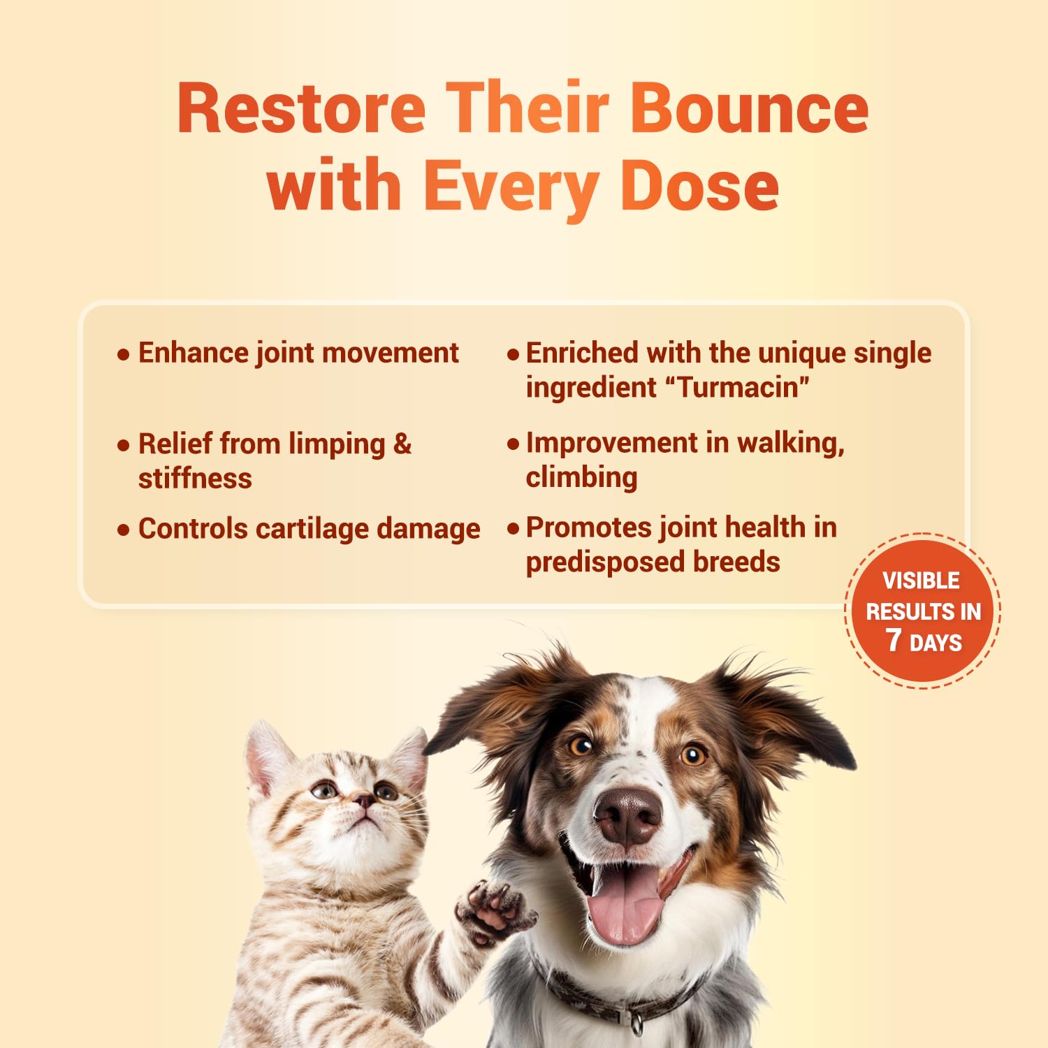 Natural Remedies Orthoron+ Joint Supplement for Dogs and Cats, Relieves Limping and Stiffness, Enhances Joint Movement, All-Natural & Safe, Easy Feed Paste, Real Chicken Liver, 60ml (Pack of 1) 2