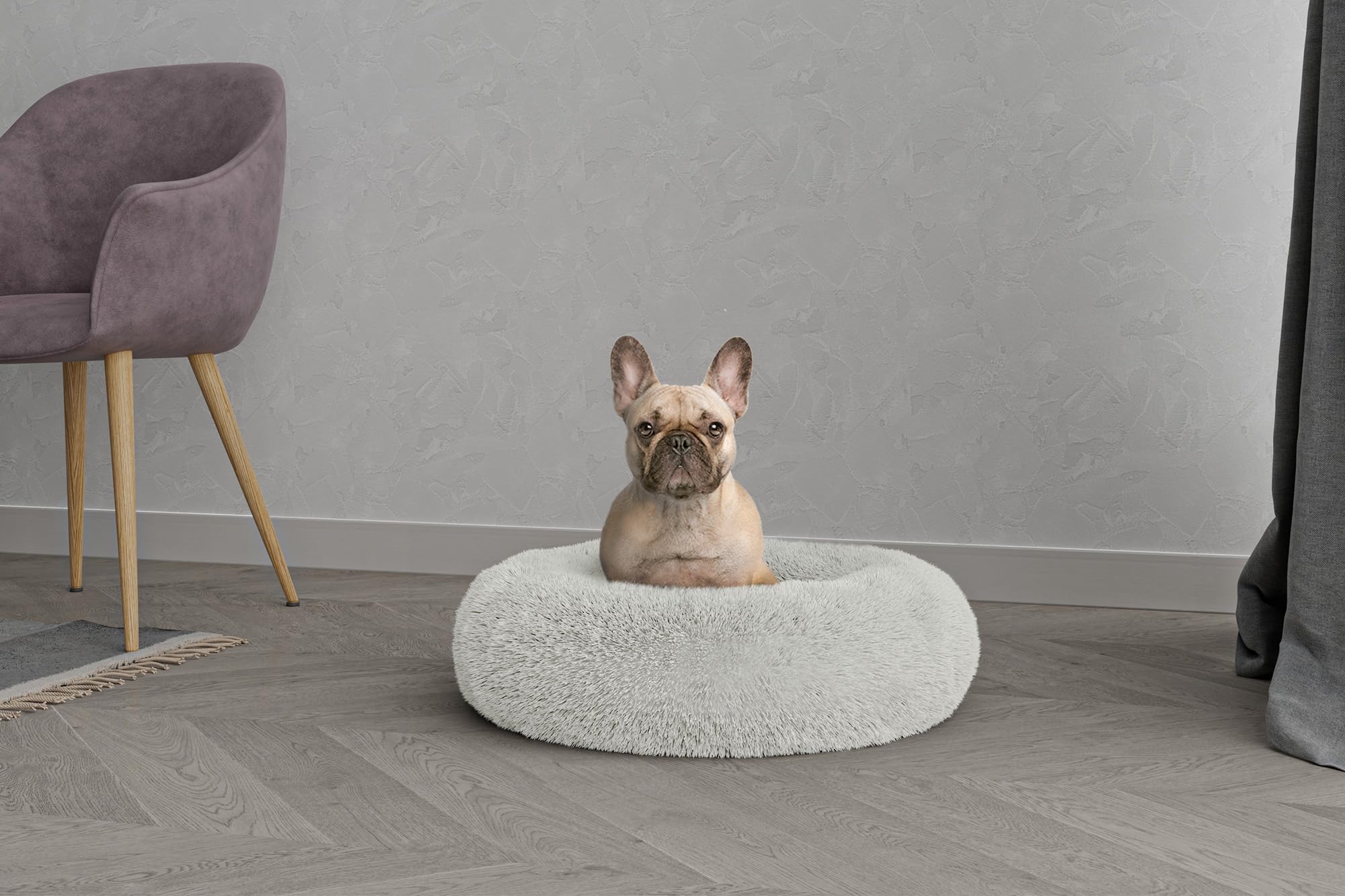 Dreams Pet Bed Dreams and Caprices Pets, Soft Polyester, Cream, 60 x 60 cm