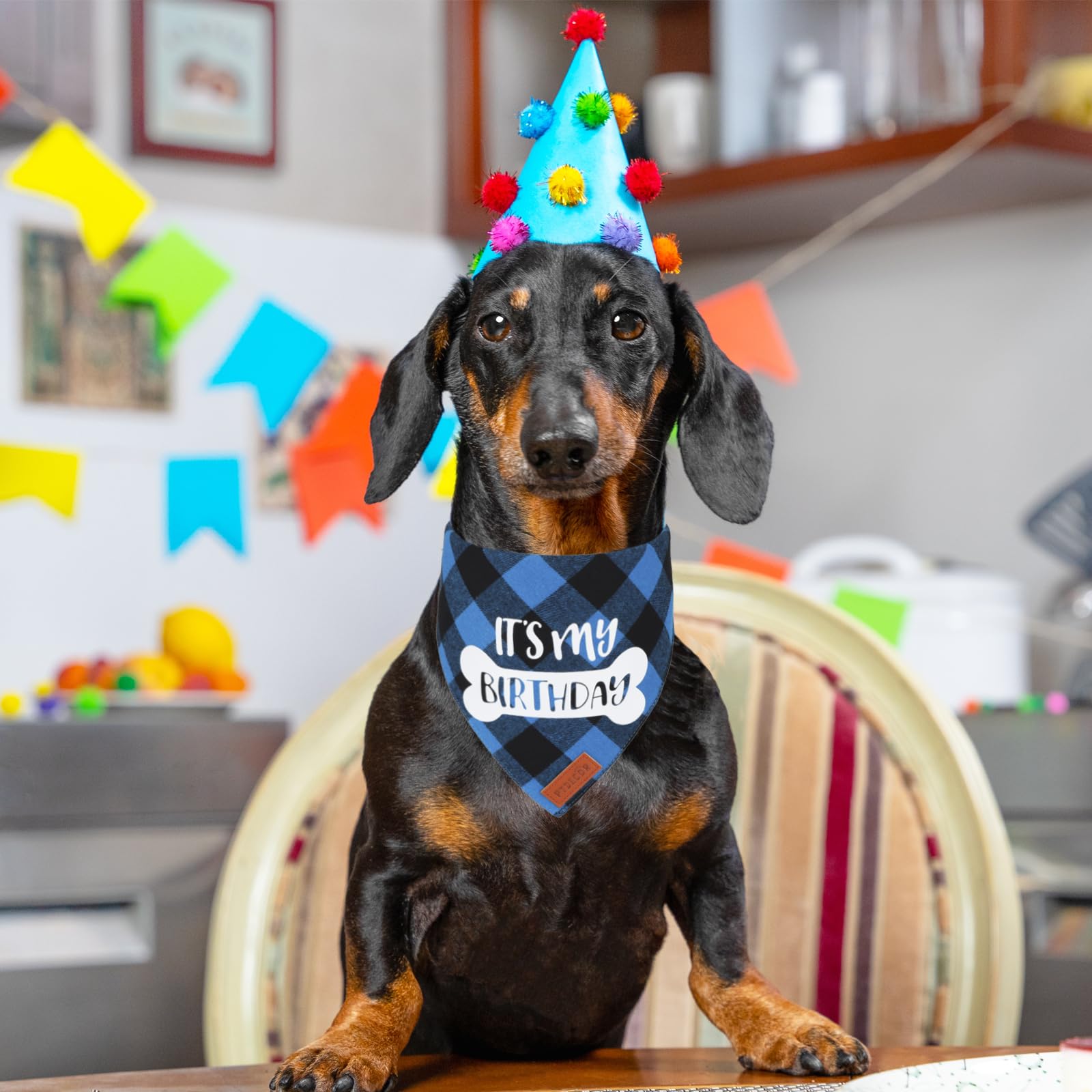 Party Crusoe Dog Handmade Dachshund Biscuits For Dogs Award