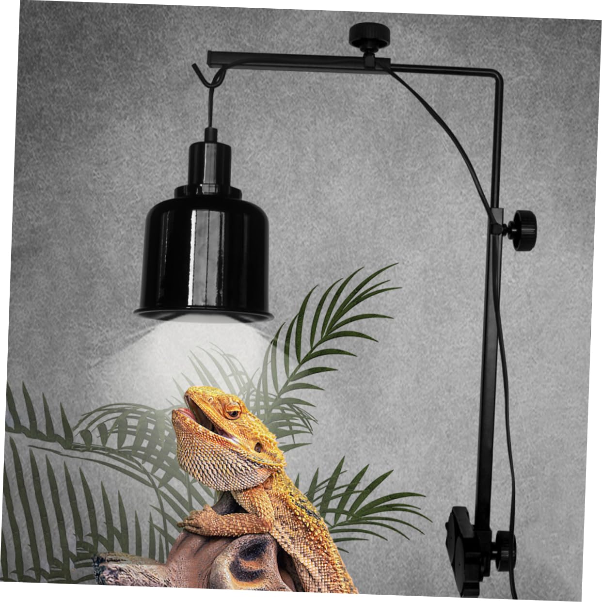 TOYANDONA Supporto Per Lampada Da Esterno Per Tartarughe Staffa in Per Da Acquario Supporto Per Lampada Termica Per Rettili Staffa Montaggio Regolabile Per Luce Per Acquario