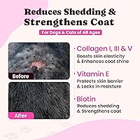 Vista 4 de Colágeno prémium para perros y gatos 5 tipos de colágeno alimentado con pasto (I, II, III, V y X), alivio rápido de alergias y picazón para perros