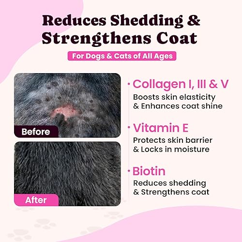 Miniatura 4 de Colágeno prémium para perros y gatos  5 tipos de colágeno alimentado con pasto (I, II, III, V y X), alivio rápido de alergias y picazón para perros