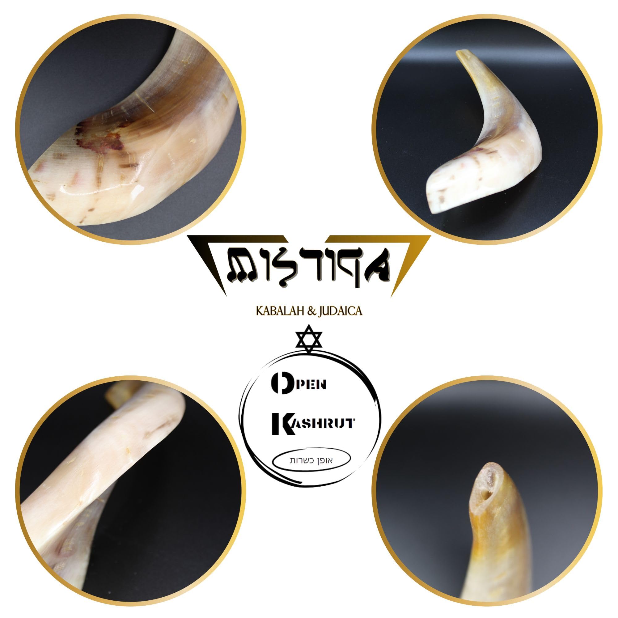 SHOFAR - Shofar Corne naturelle juive casher - Cornet hébraïque original beige à souffler - Poli, mysticisme et rituels - Mistiqa Kabalah & Judaïque - Articles juifs