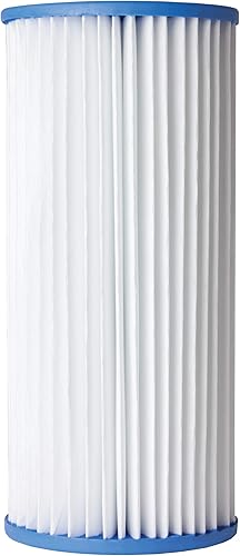 A.O. Smith AO-WH-PREL-RPP - Filtro de repuesto para todo tipo de casa