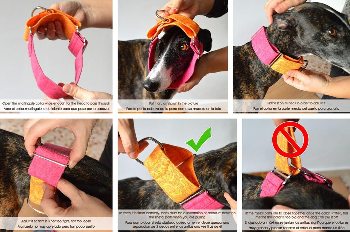 Collare per cani martingale: Green Witch, fatto a mano in Spagna da Wakakán