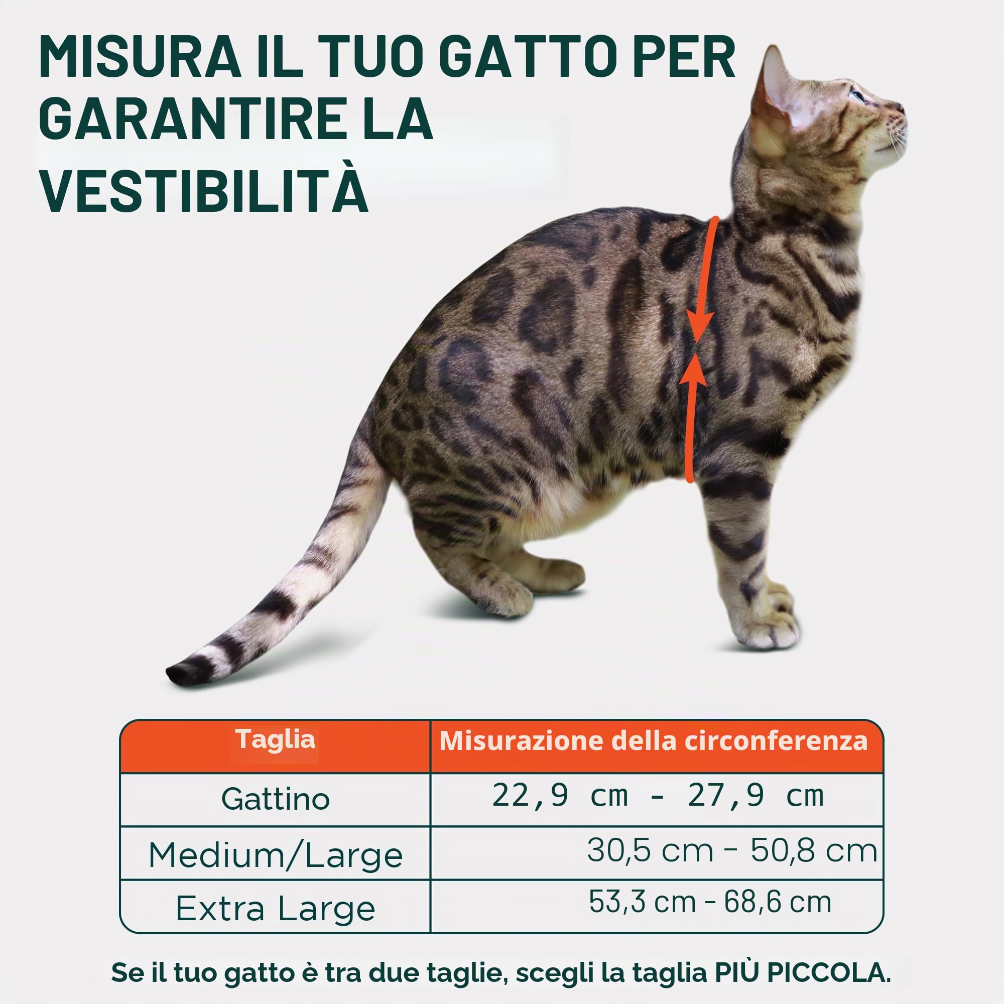 Houdini Imbracatura e guinzaglio per gatti a prova di fuga di OutdoorBengal – nero, grande imbracatura per gatti grandi che camminano