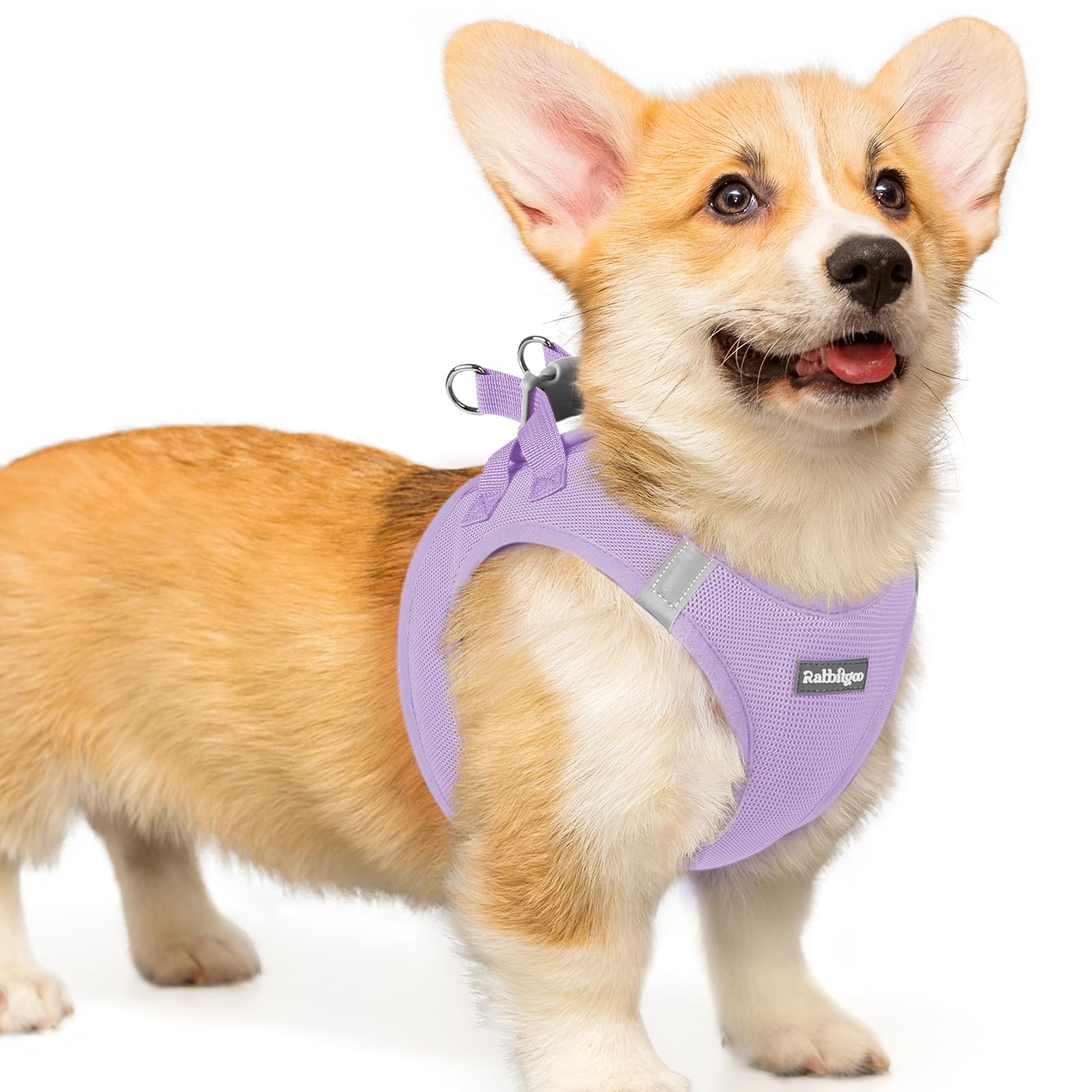 rabbitgoo Hundegeschirr kleine Hunde, Step-in Soft Mesh Hundegeschirr mit Sicherheitsverschluss, atmungsaktives und reflektierendes Welpengeschirr für kleine Hunde
