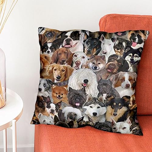 Miniatura 4 de DMIPIRLS Diferentes razas de perros, paquete de 2 fundas de almohada cuadradas de felpa, fundas de cojín cuadradas, modernas fundas de almohada