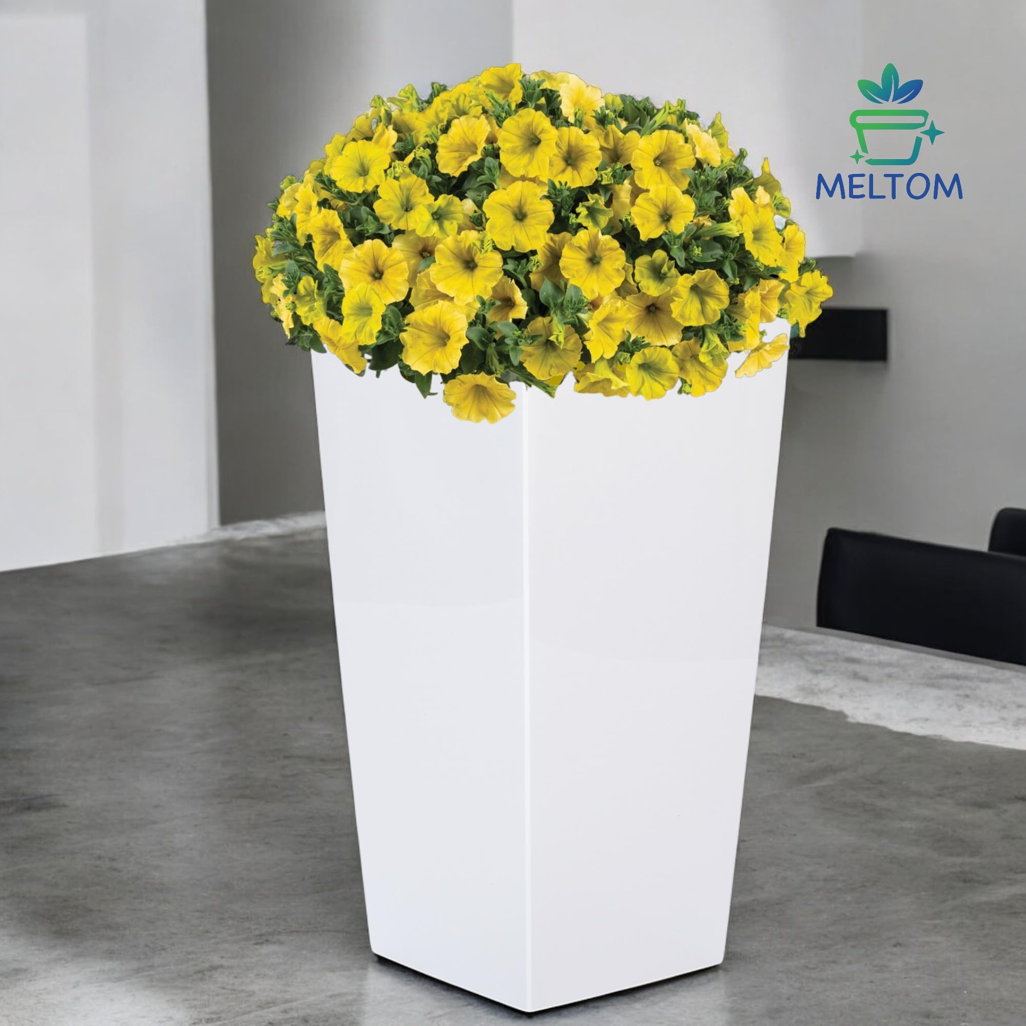 MELTOM