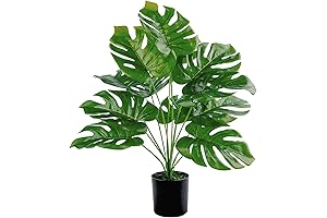 Toopify Artificial Real Palm Tree Plant for Indoor Outdoor Home Office Decorations